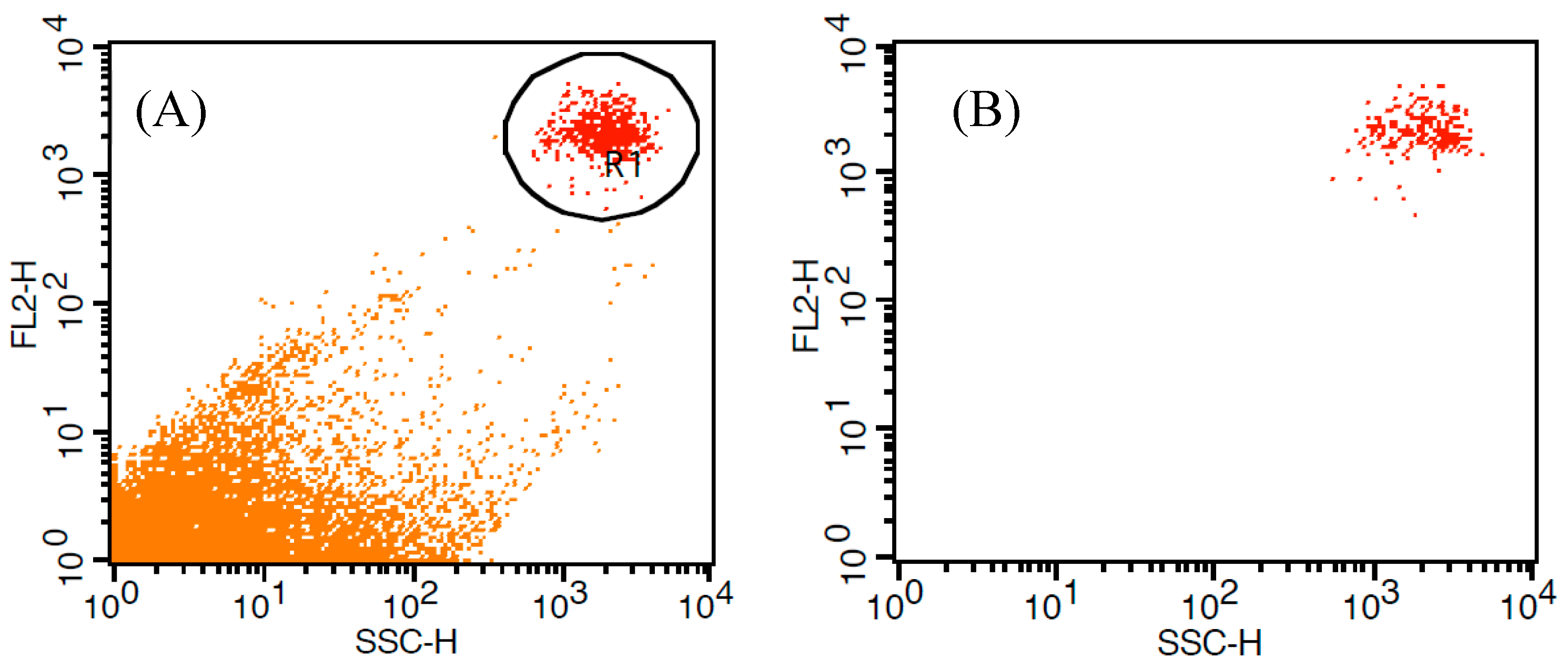 Microorganisms 13 00044 g001