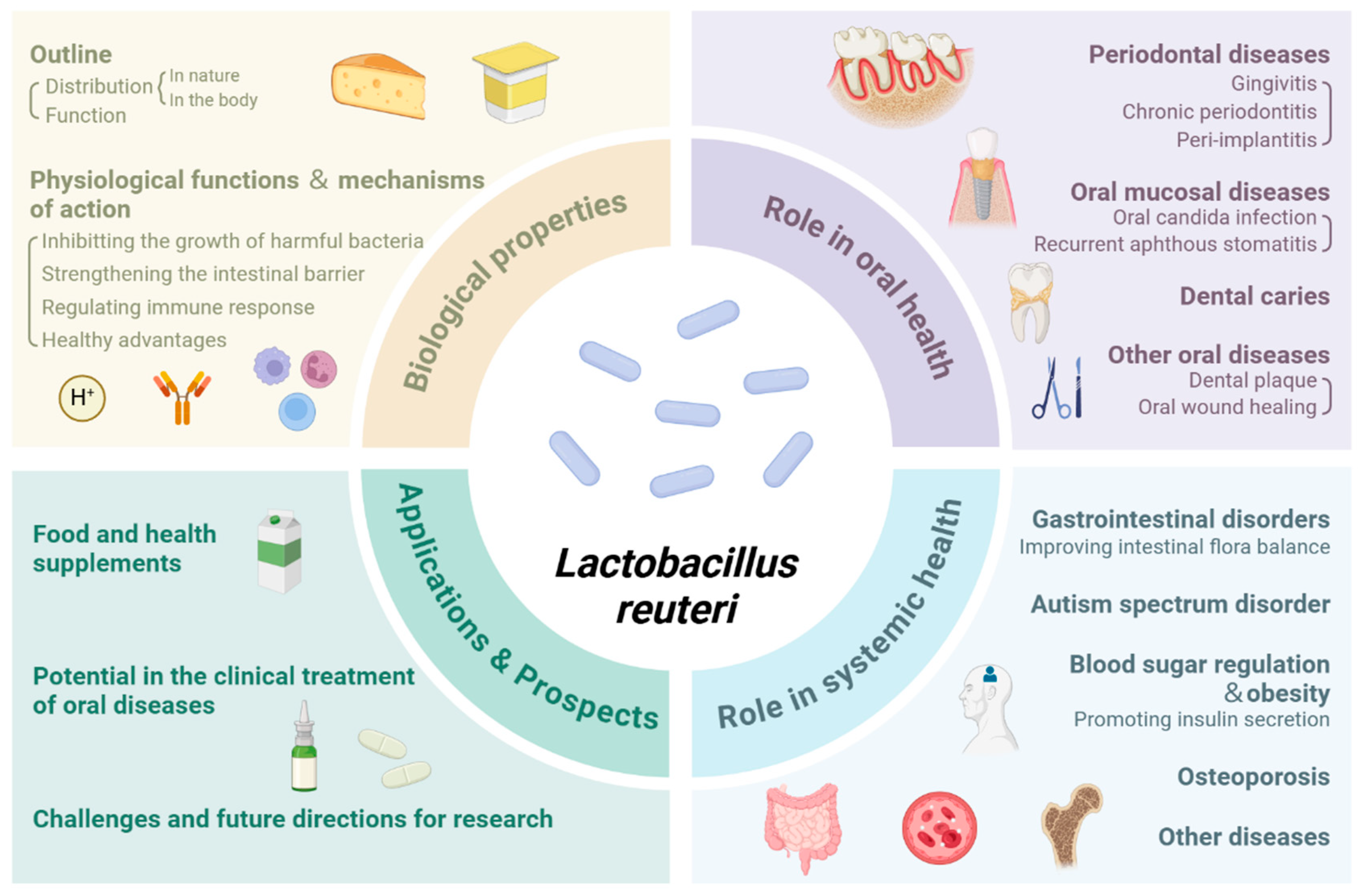 Microorganisms 13 00045 g001