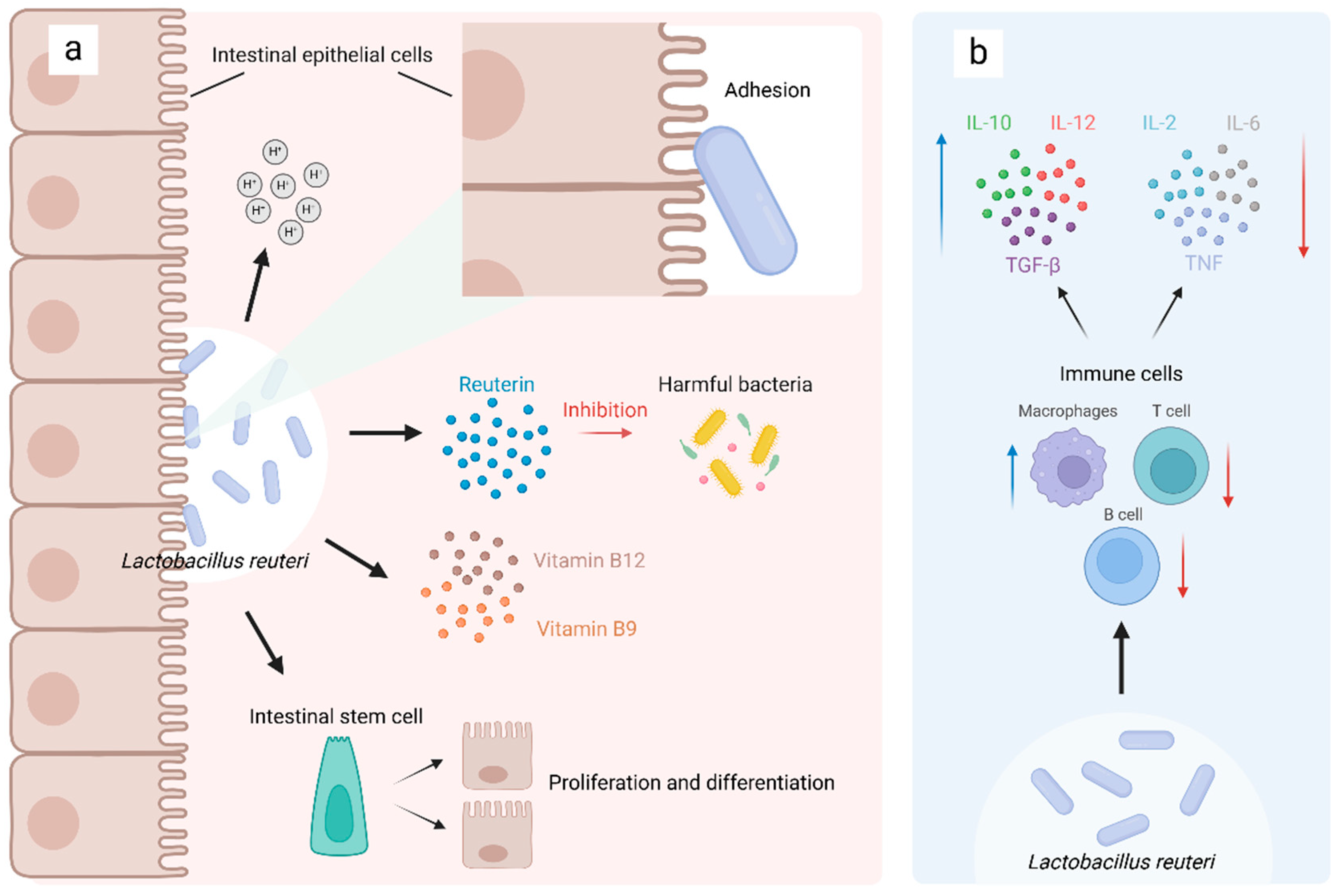 Microorganisms 13 00045 g002