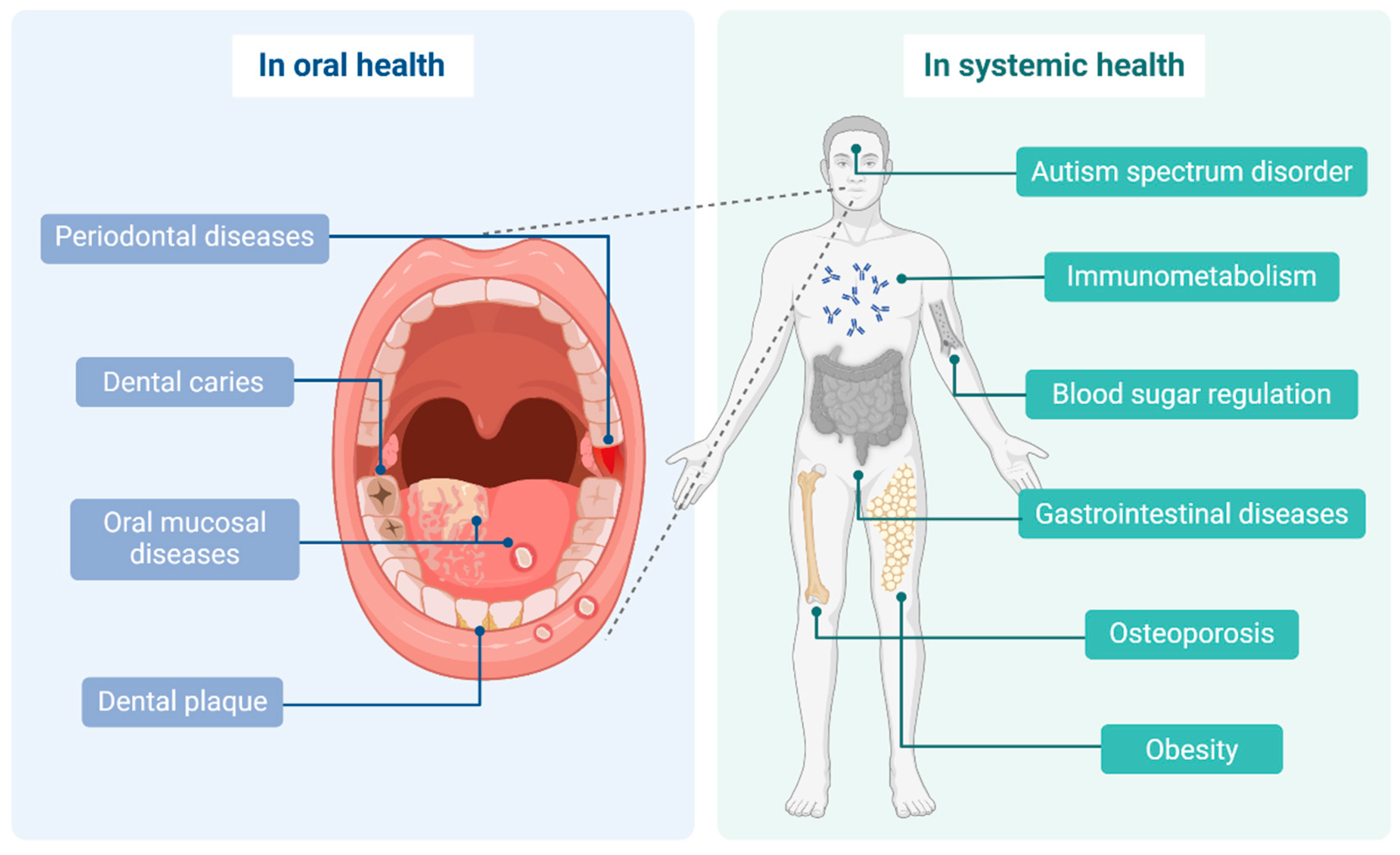 Microorganisms 13 00045 g003
