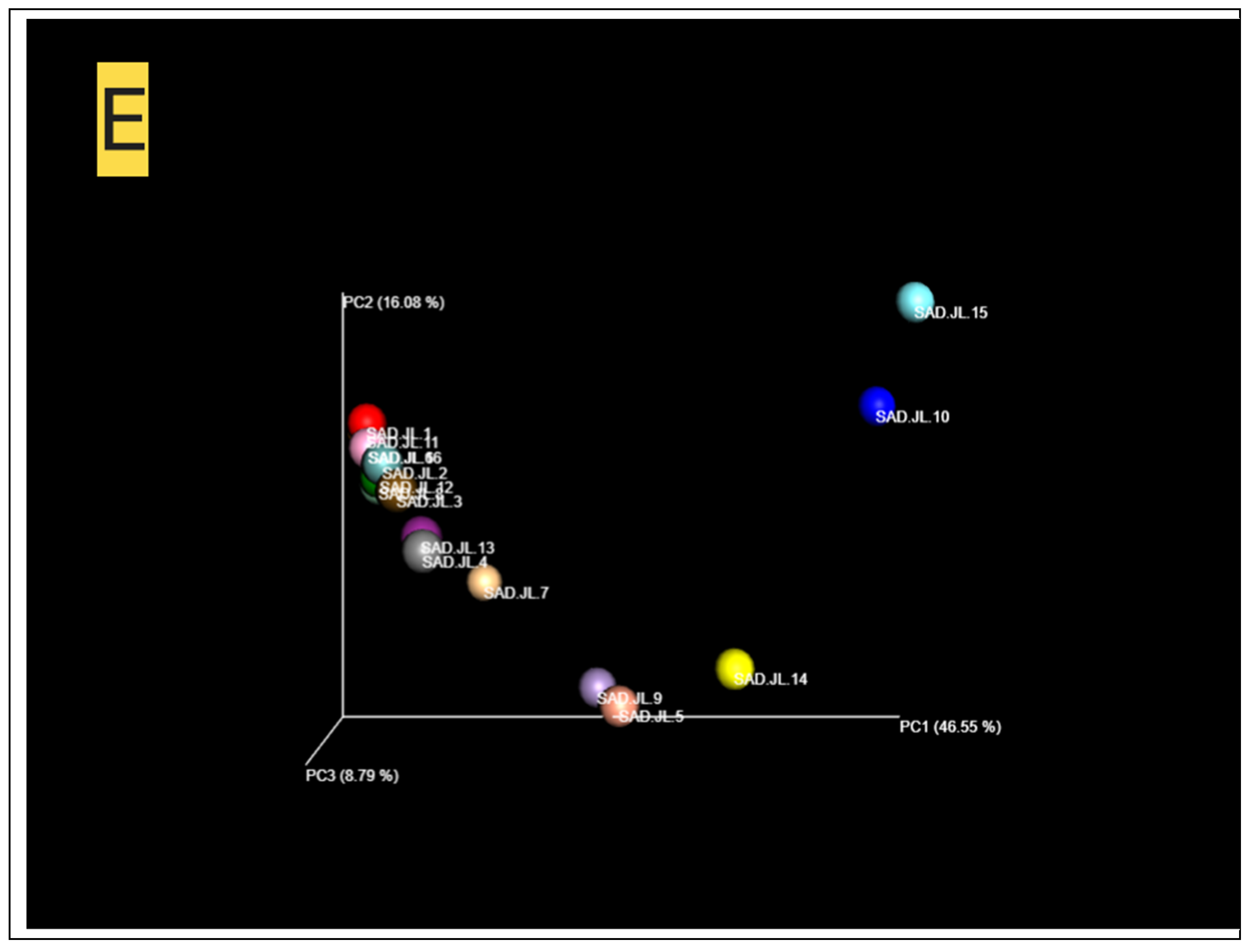 Microorganisms 13 00052 g005c