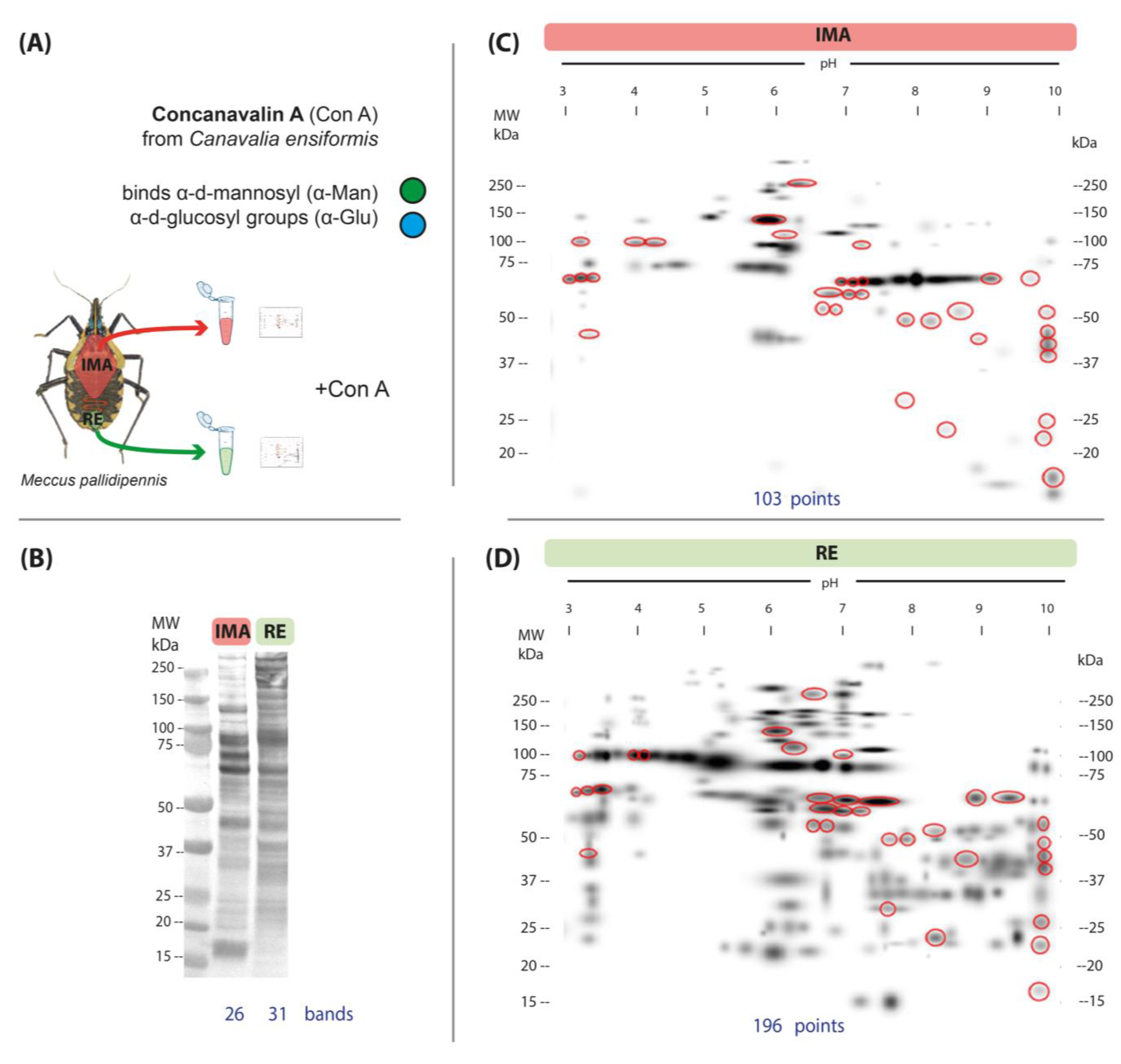 Microorganisms 13 00058 g002