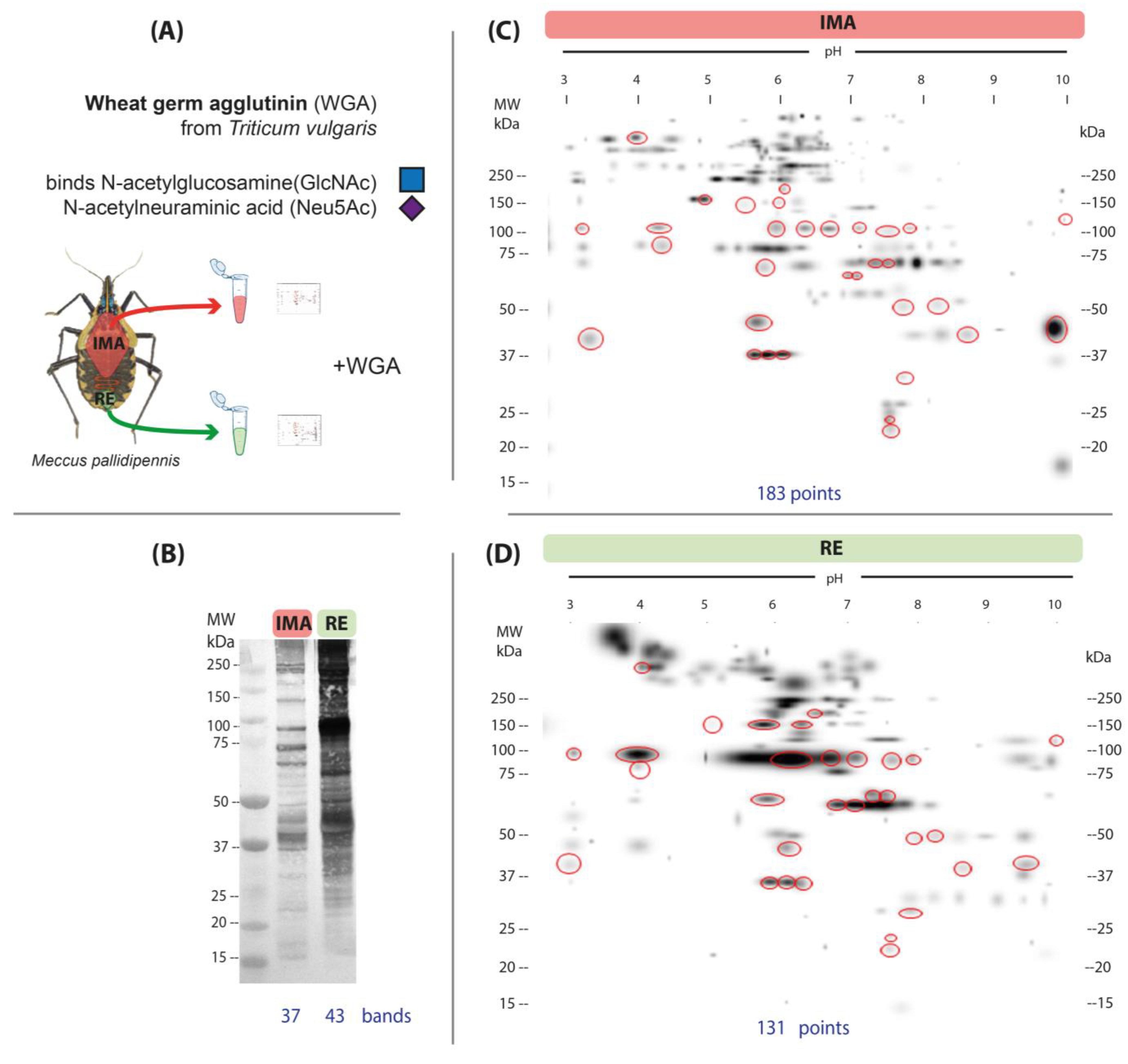 Microorganisms 13 00058 g003
