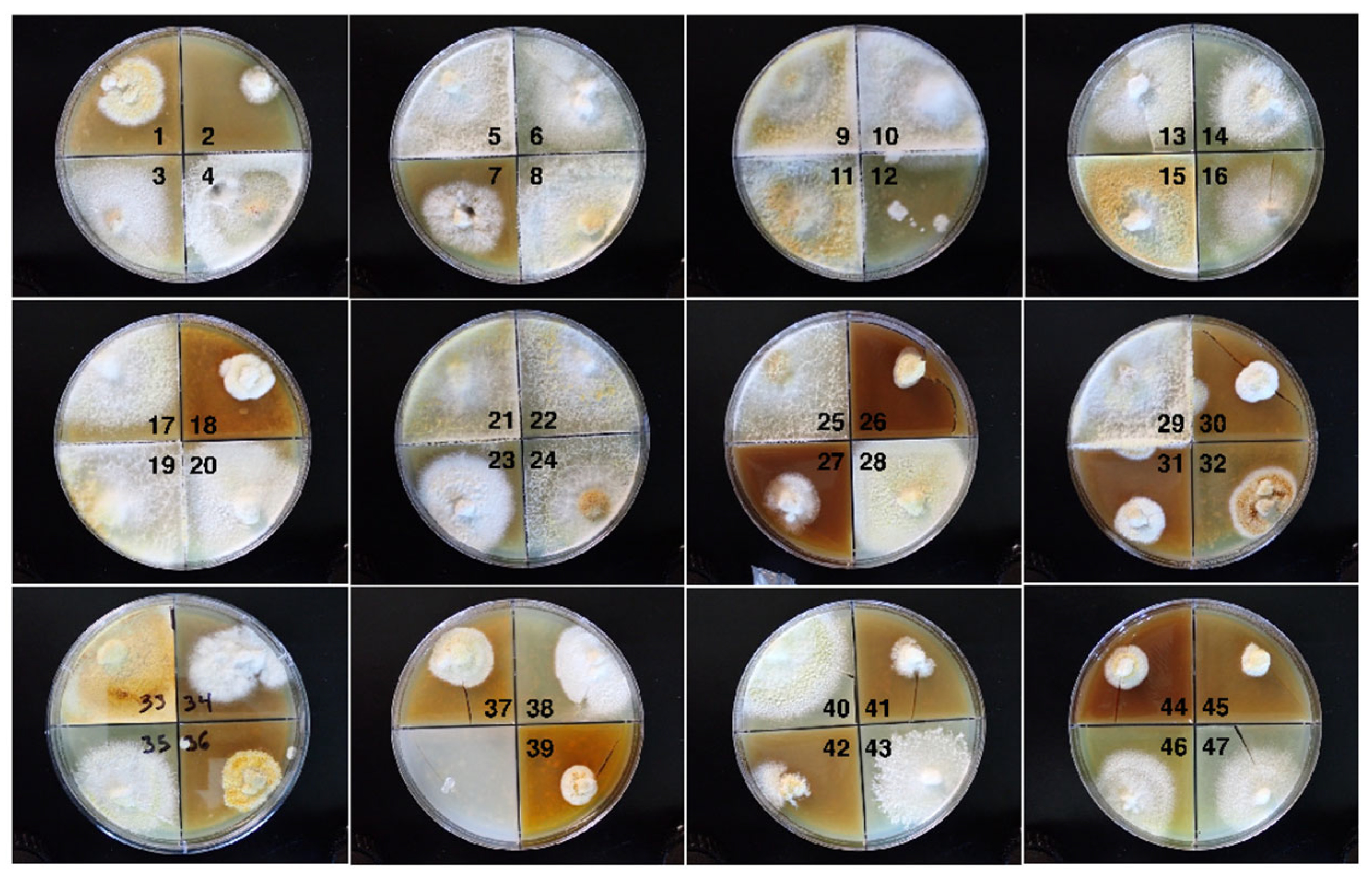 Microorganisms 13 00059 g002