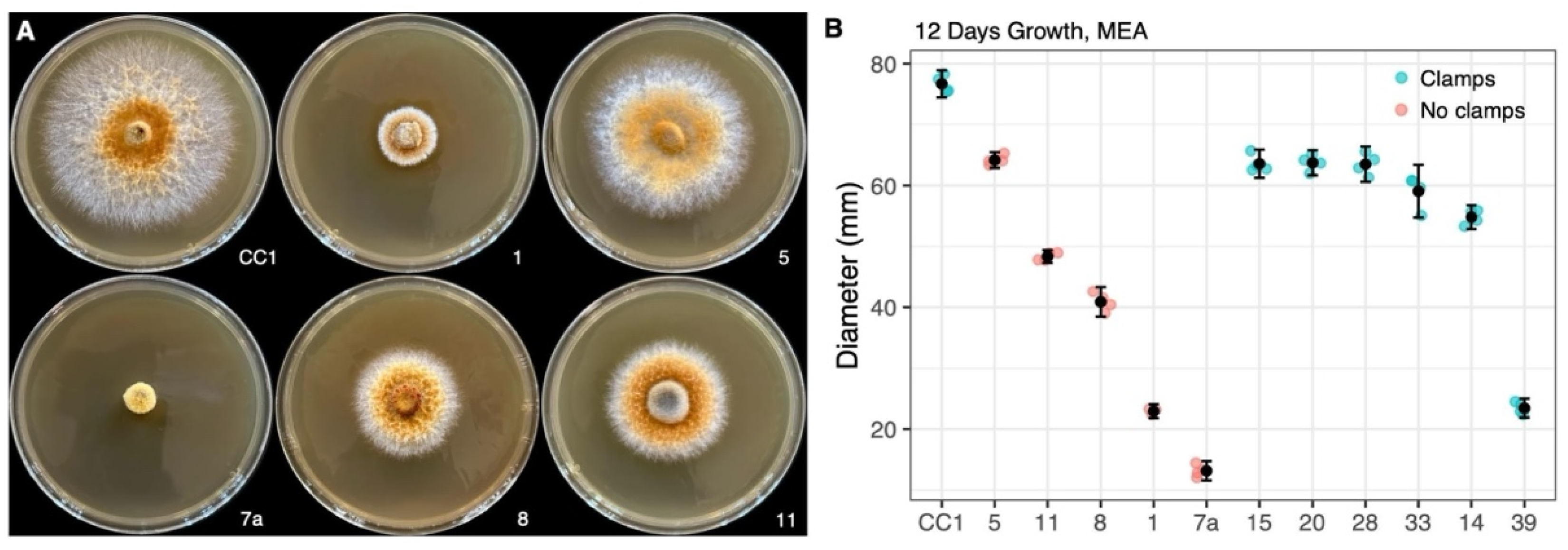Microorganisms 13 00059 g003