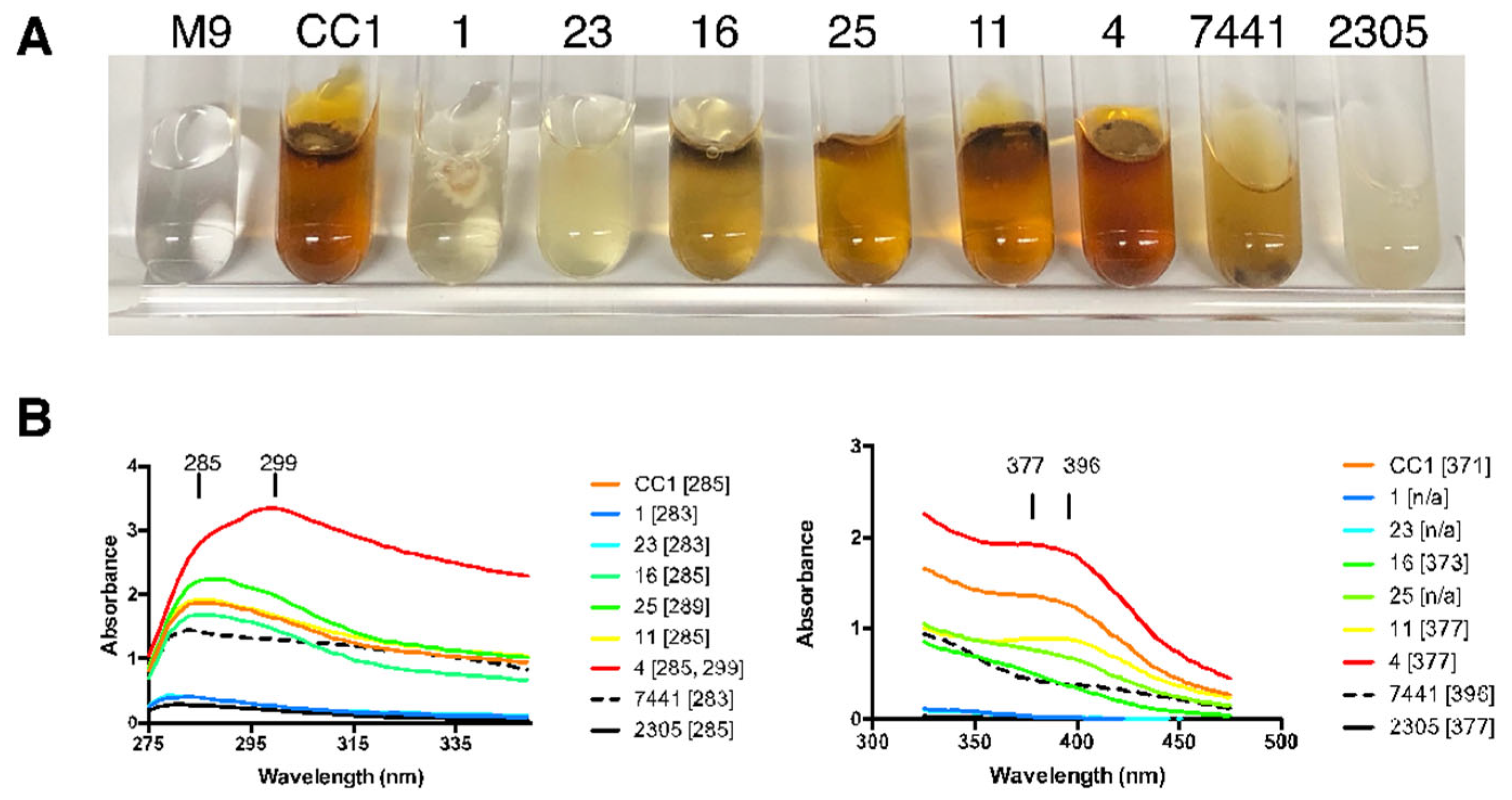 Microorganisms 13 00059 g006