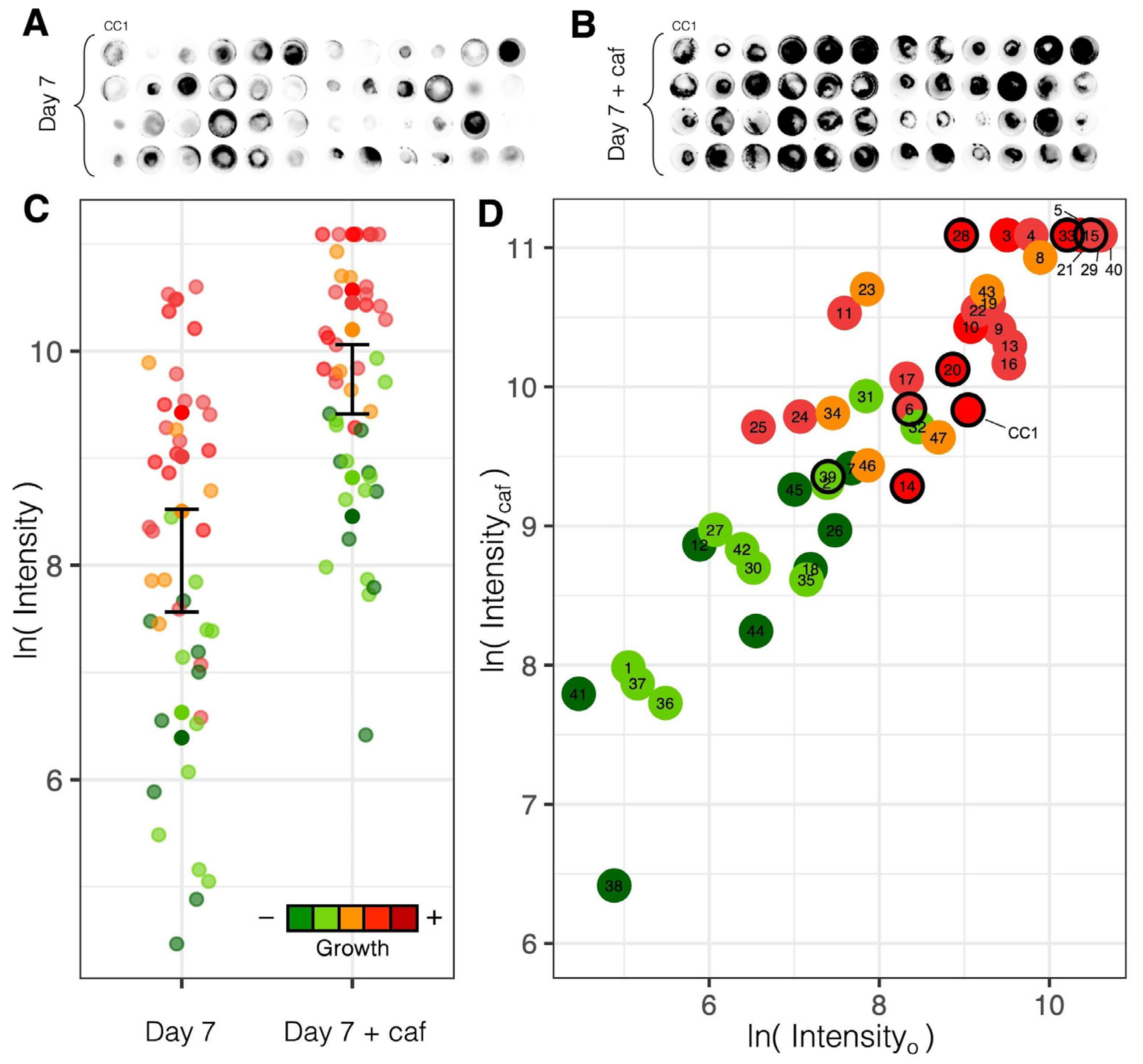 Microorganisms 13 00059 g007