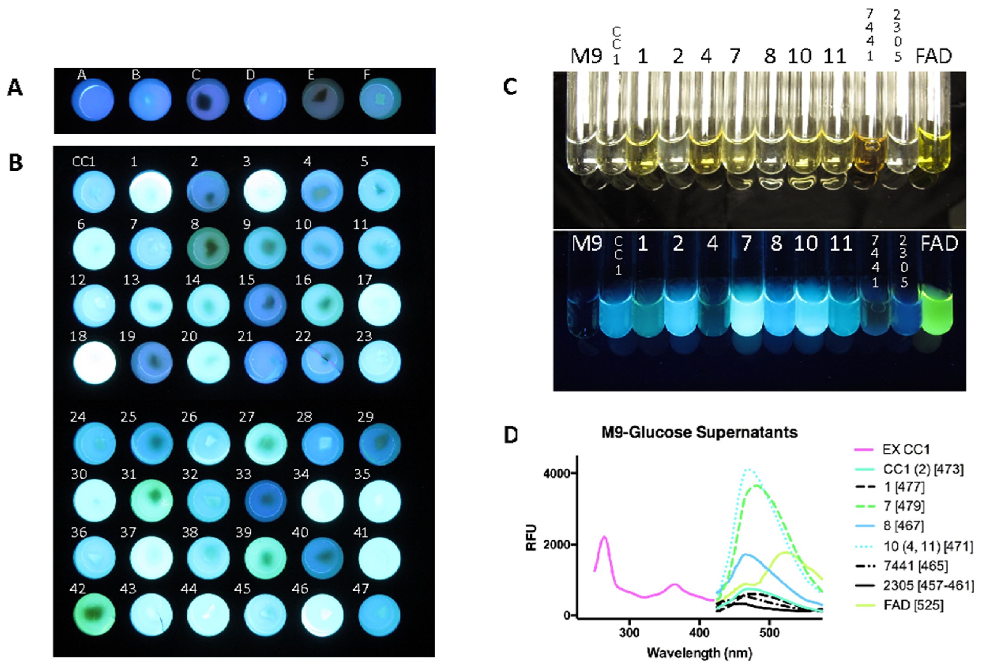 Microorganisms 13 00059 g008