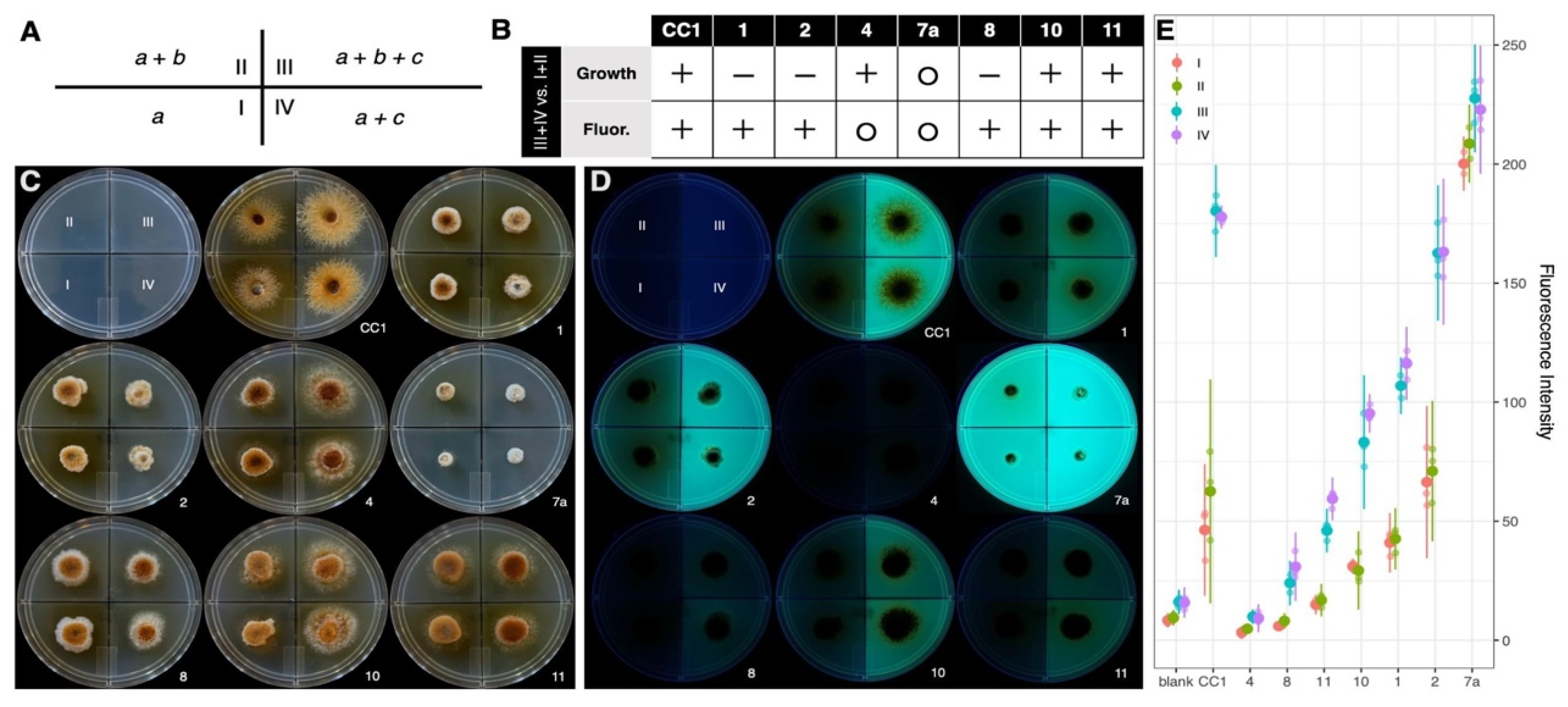 Microorganisms 13 00059 g009