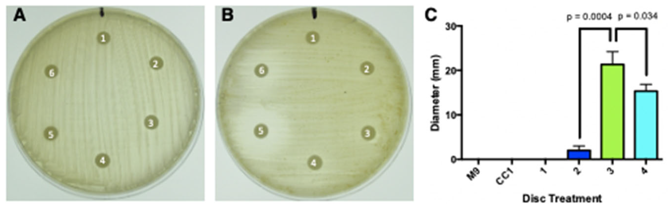 Microorganisms 13 00059 g010