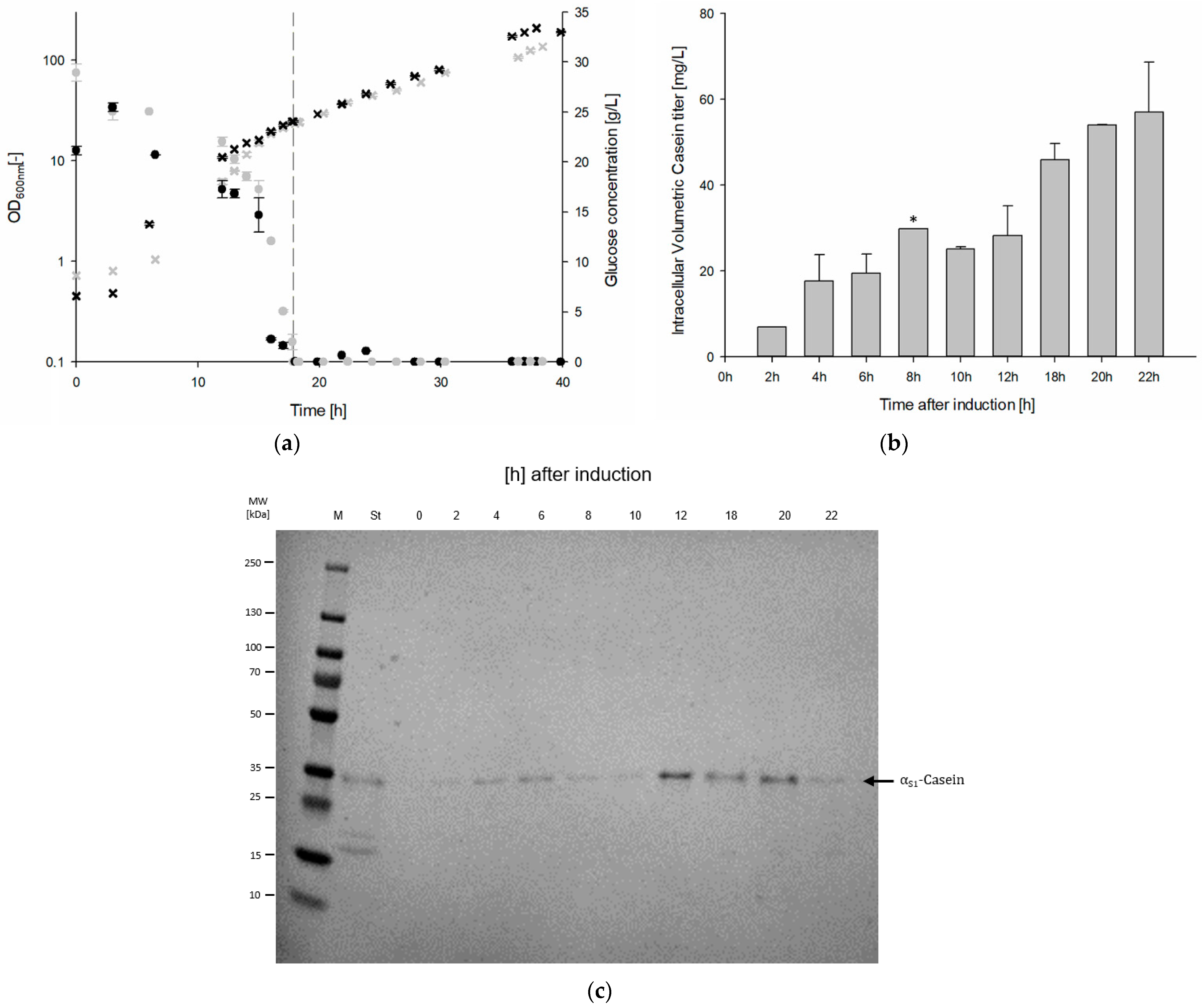 Microorganisms 13 00060 g002 Microorganisms 13 00060 g002