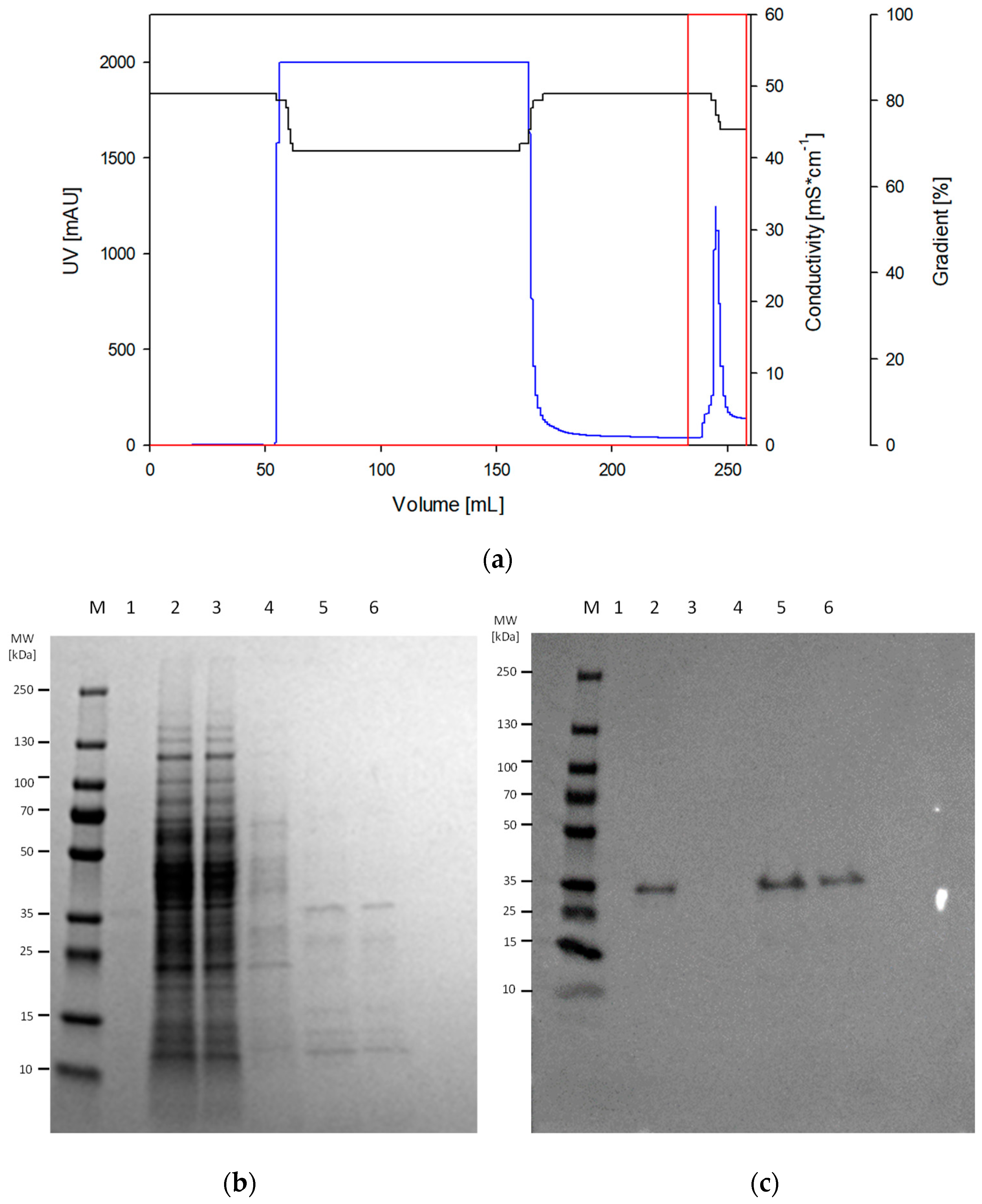 Microorganisms 13 00060 g003 Microorganisms 13 00060 g003