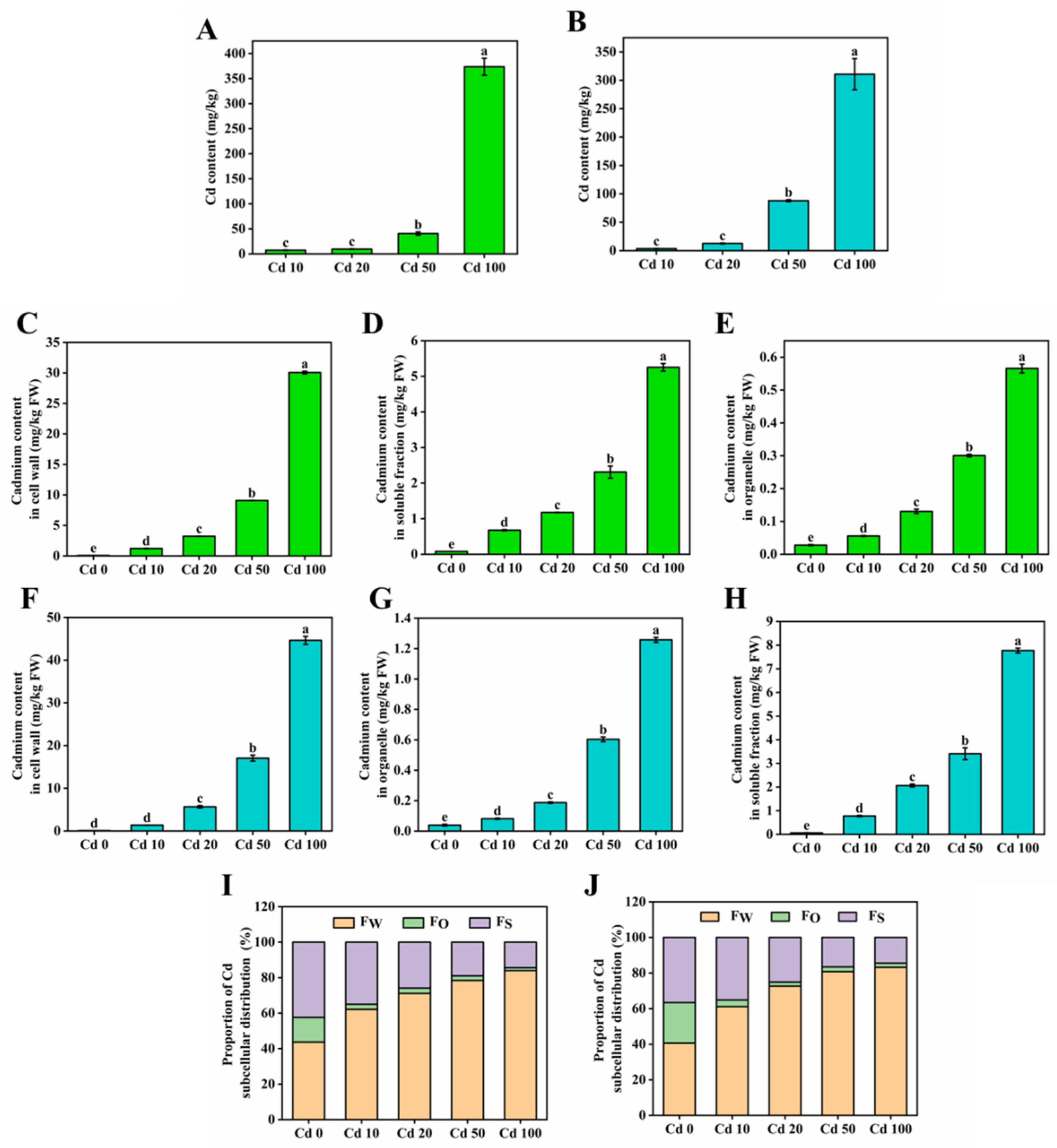 Microorganisms 13 00062 g006