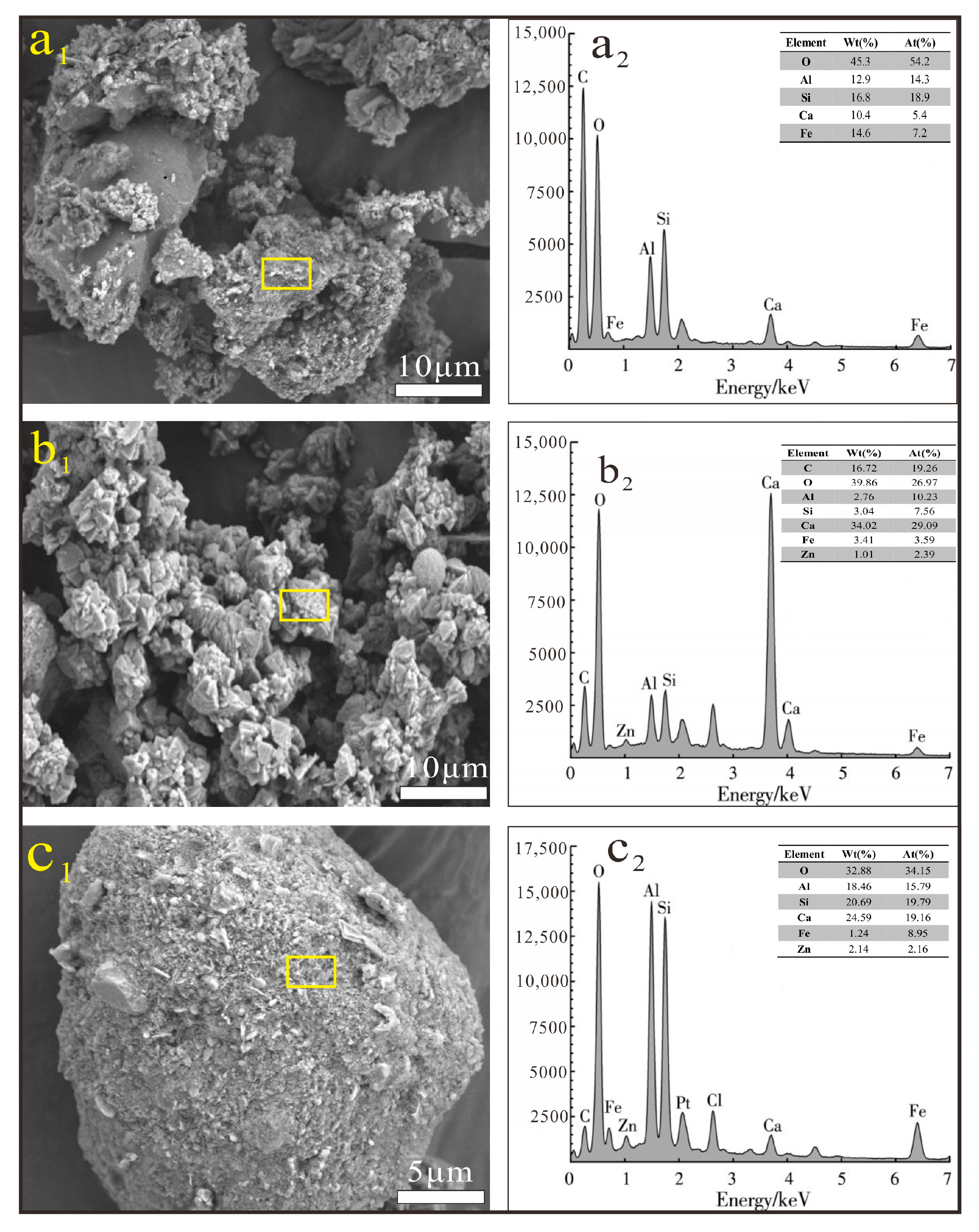 Microorganisms 13 00064 g009