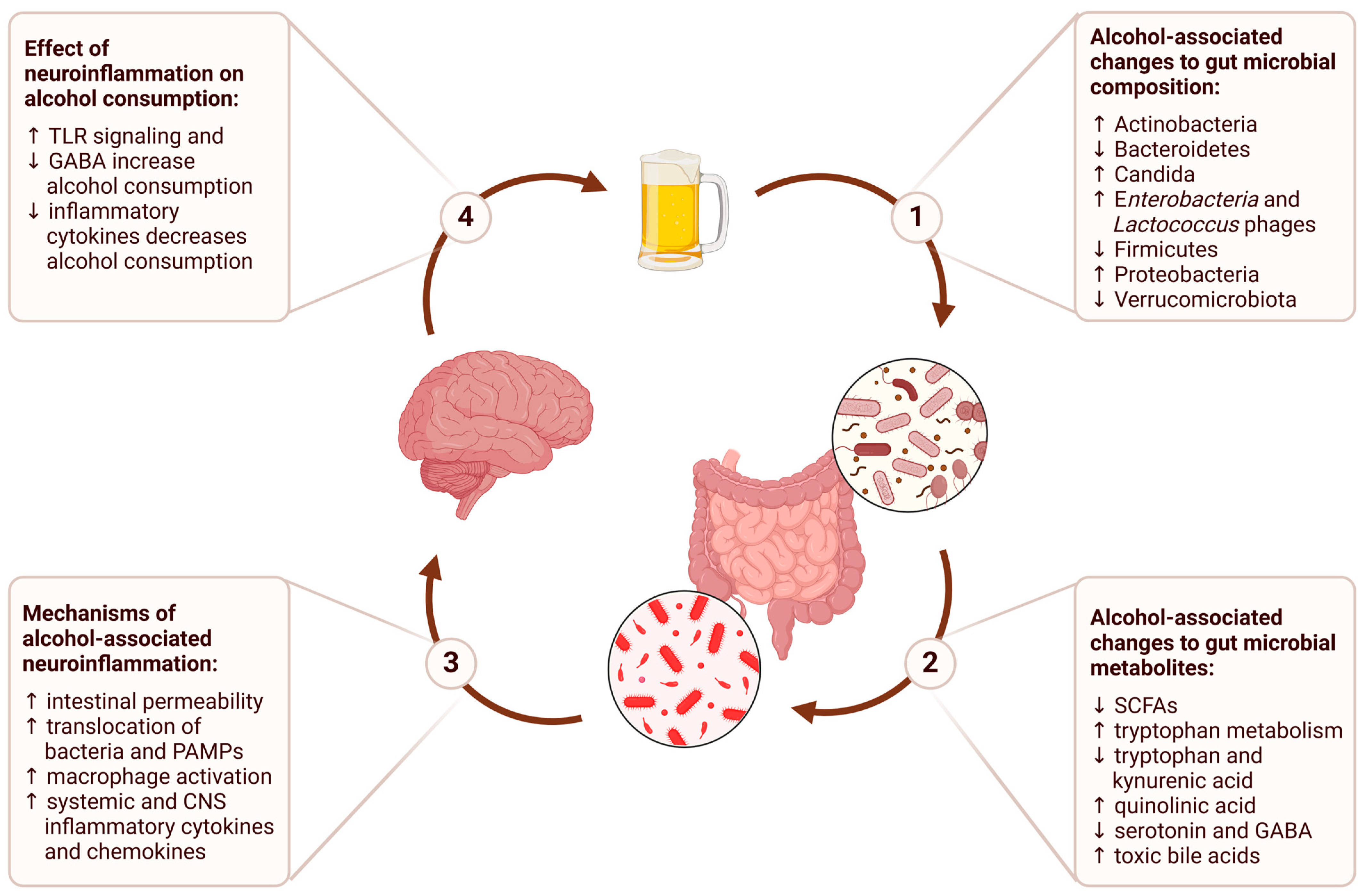 Microorganisms 13 00067 g001