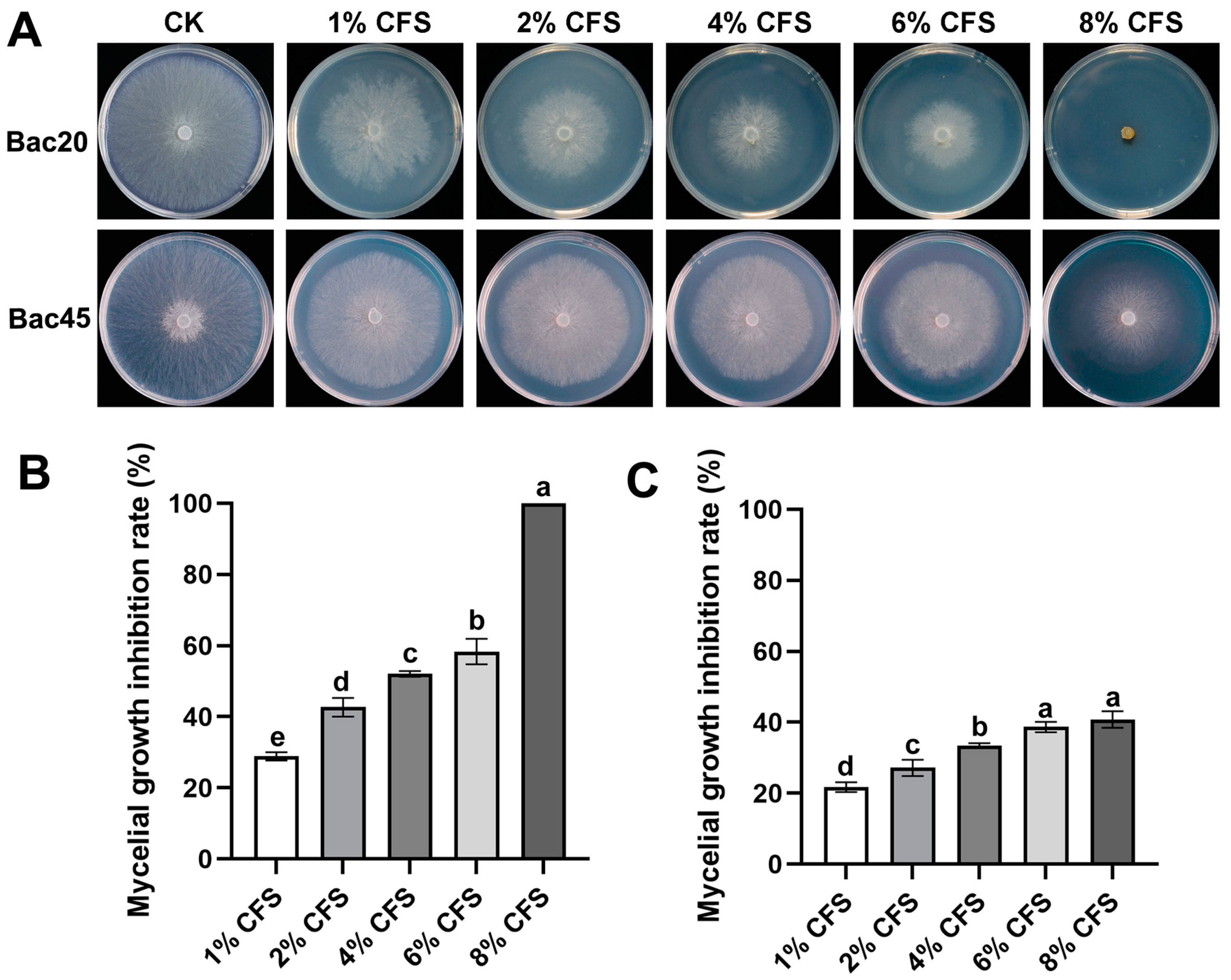 Microorganisms 13 00068 g002