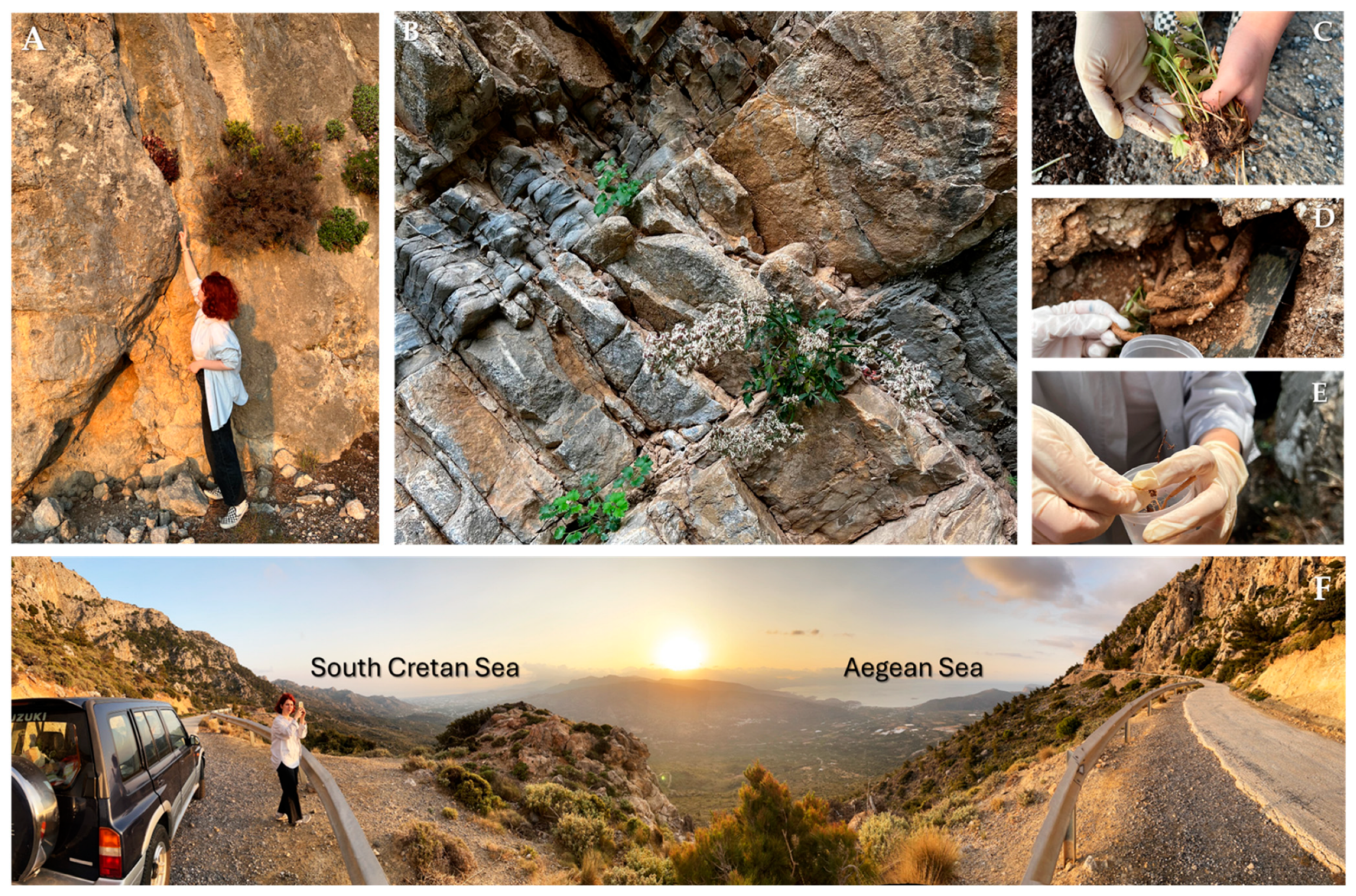 Microorganisms 13 00074 g001