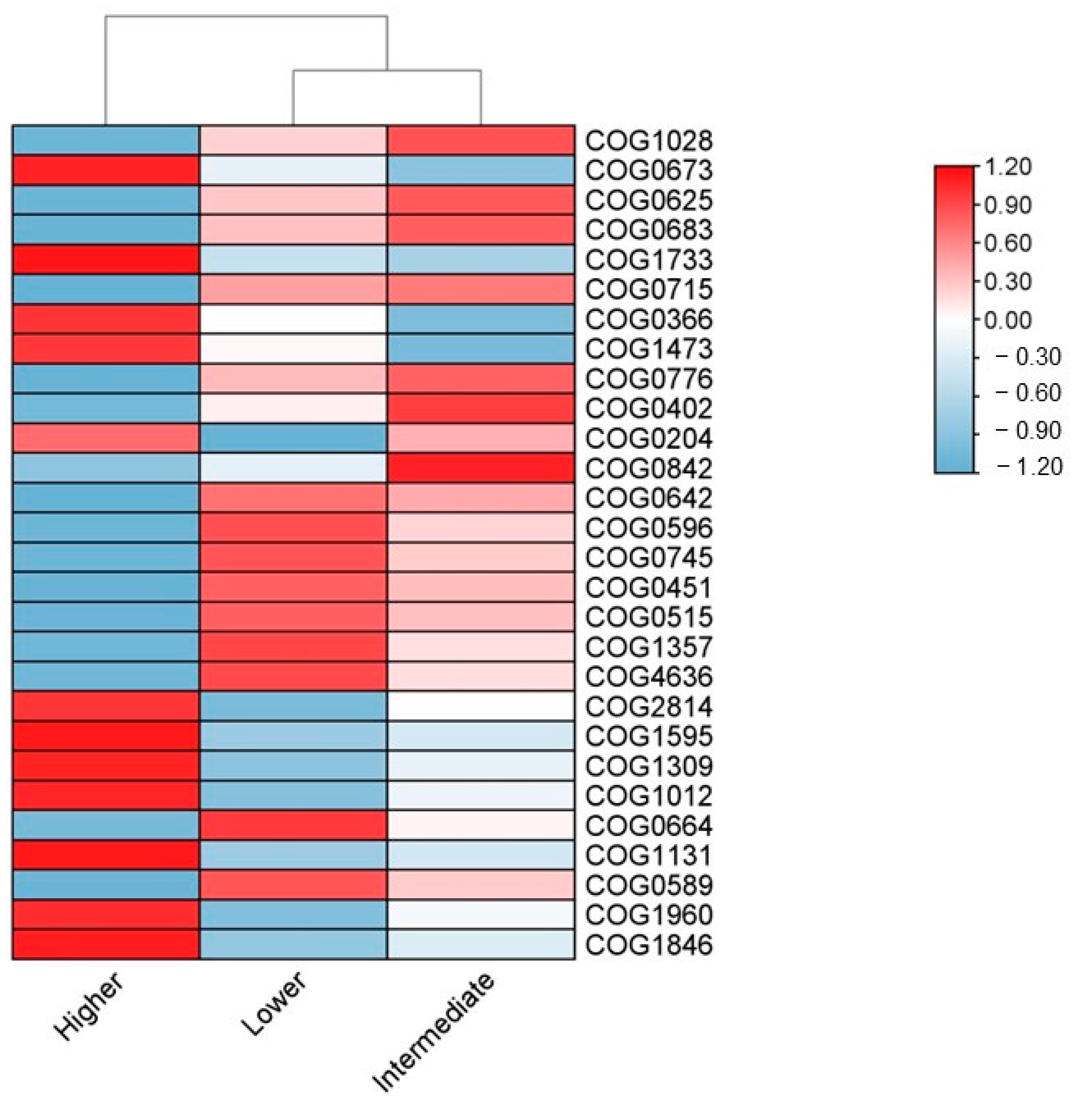 Microorganisms 13 00074 g008