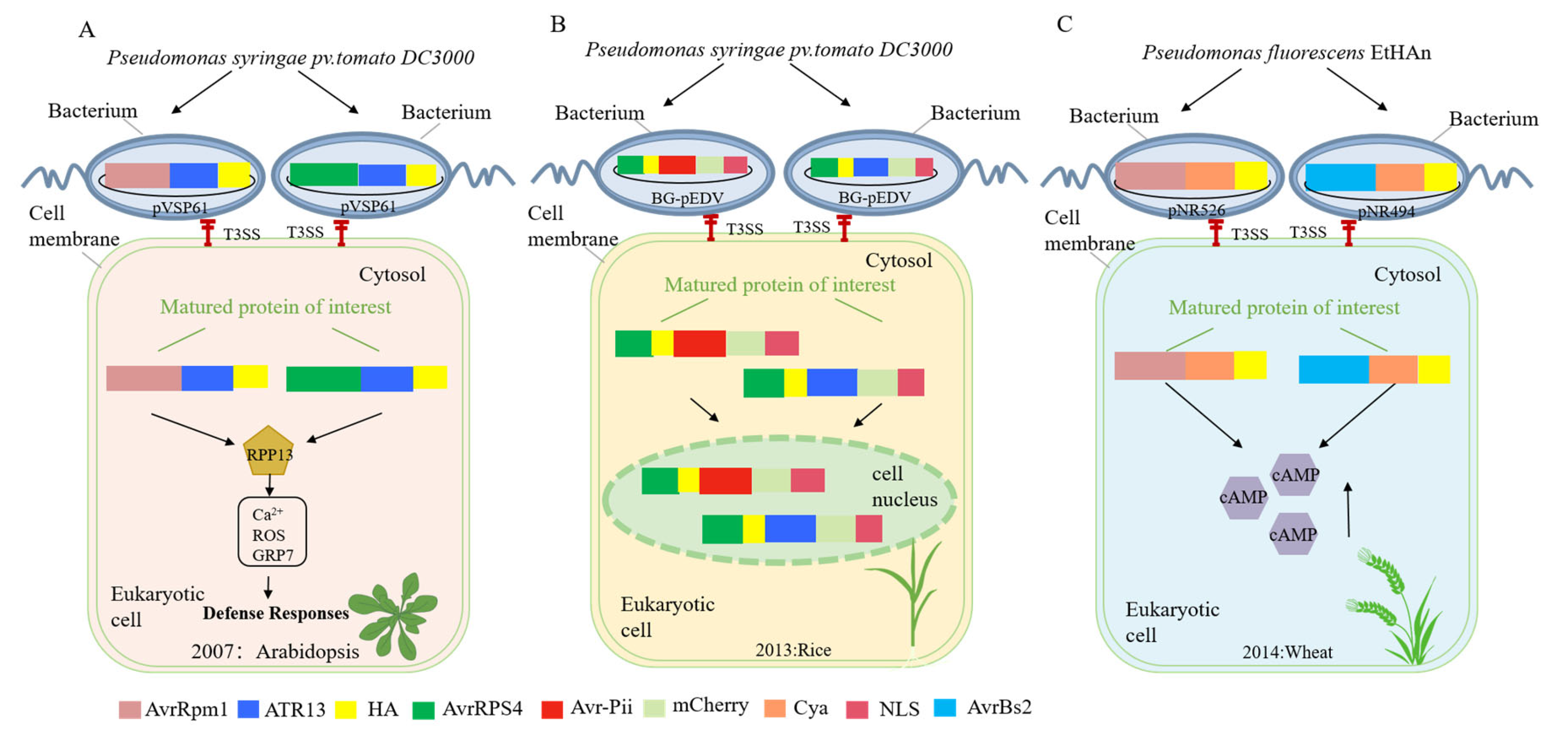 Microorganisms 13 00075 g003