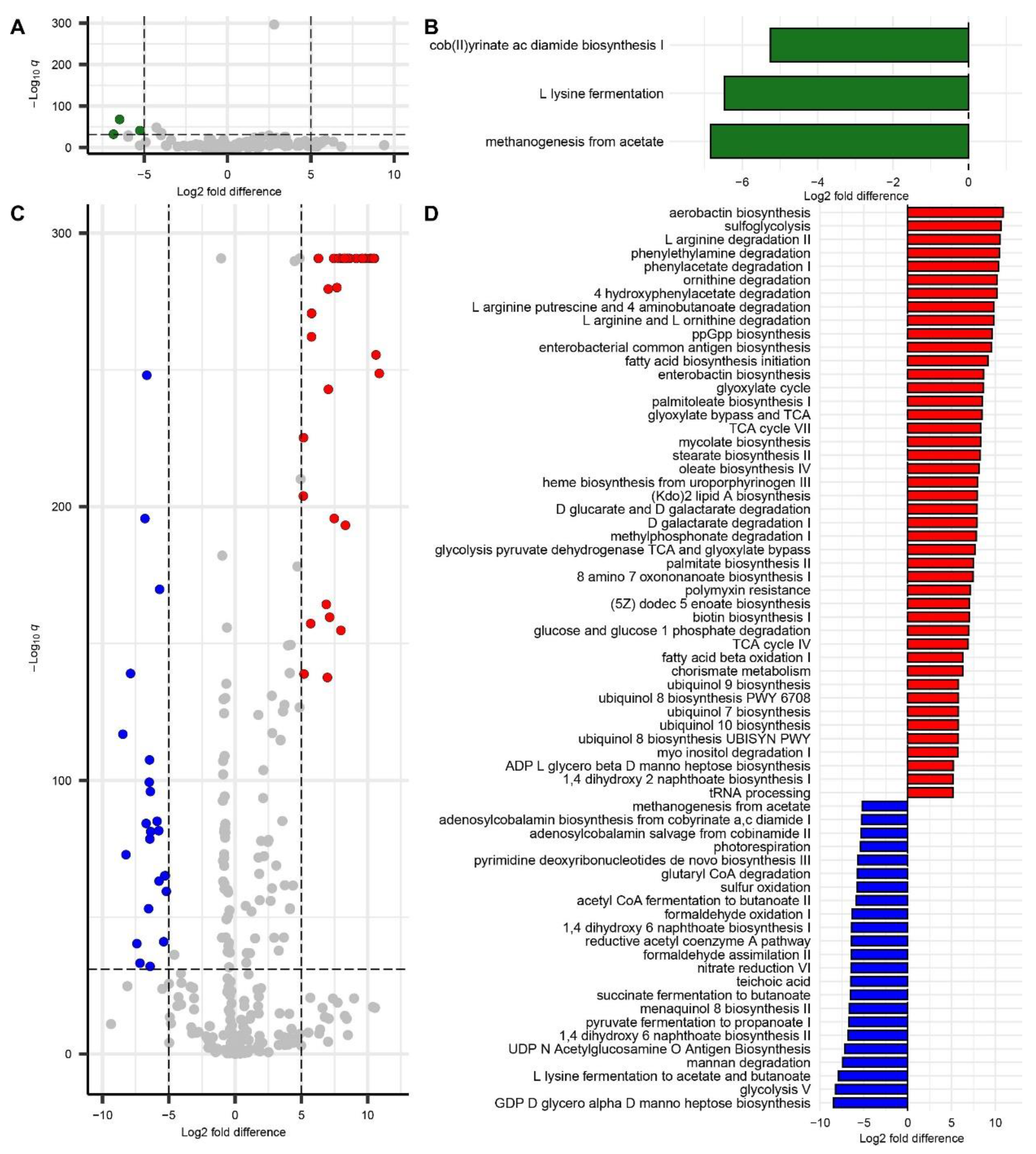 Microorganisms 13 00077 g006 Microorganisms 13 00077 g006