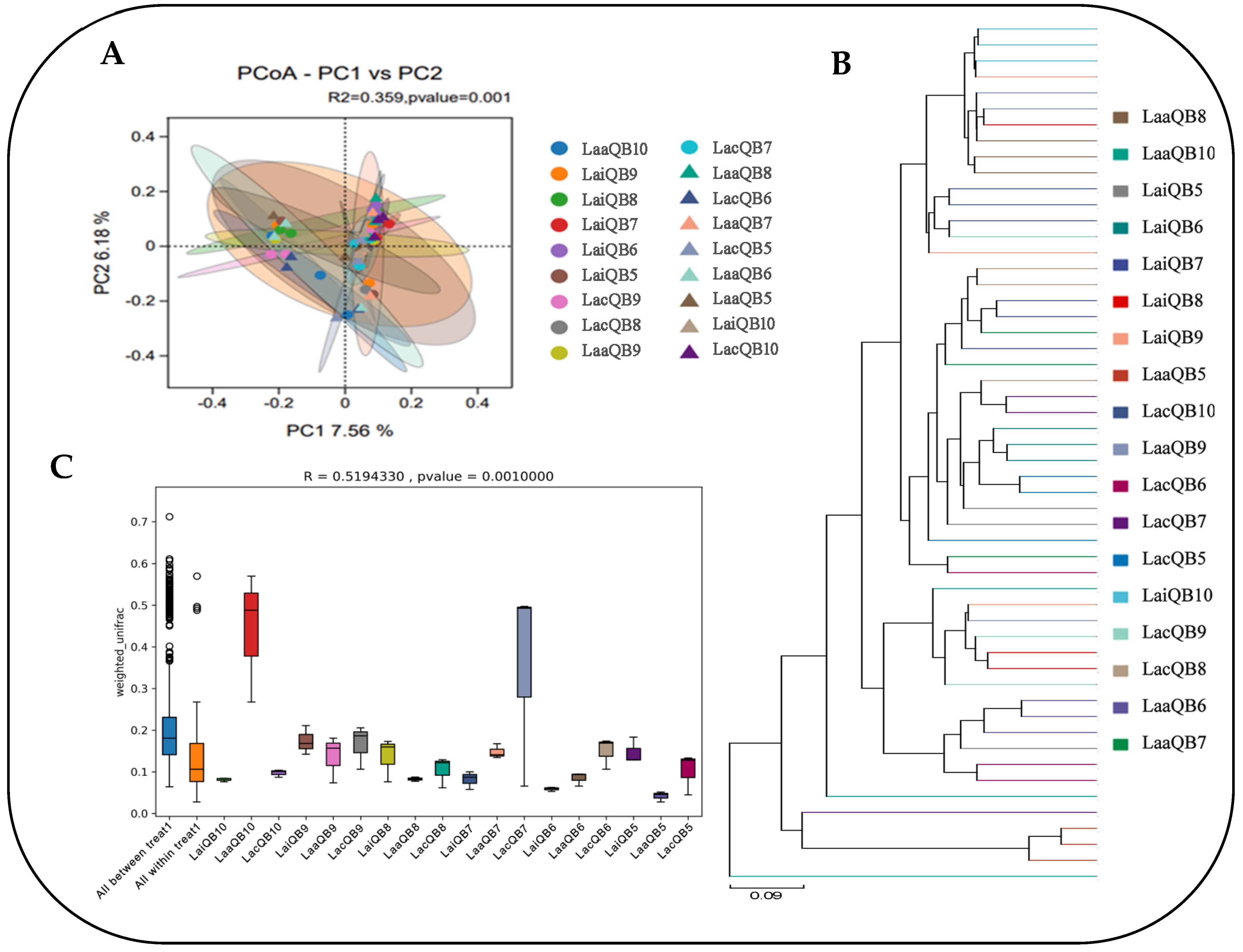 Microorganisms 13 00078 g005