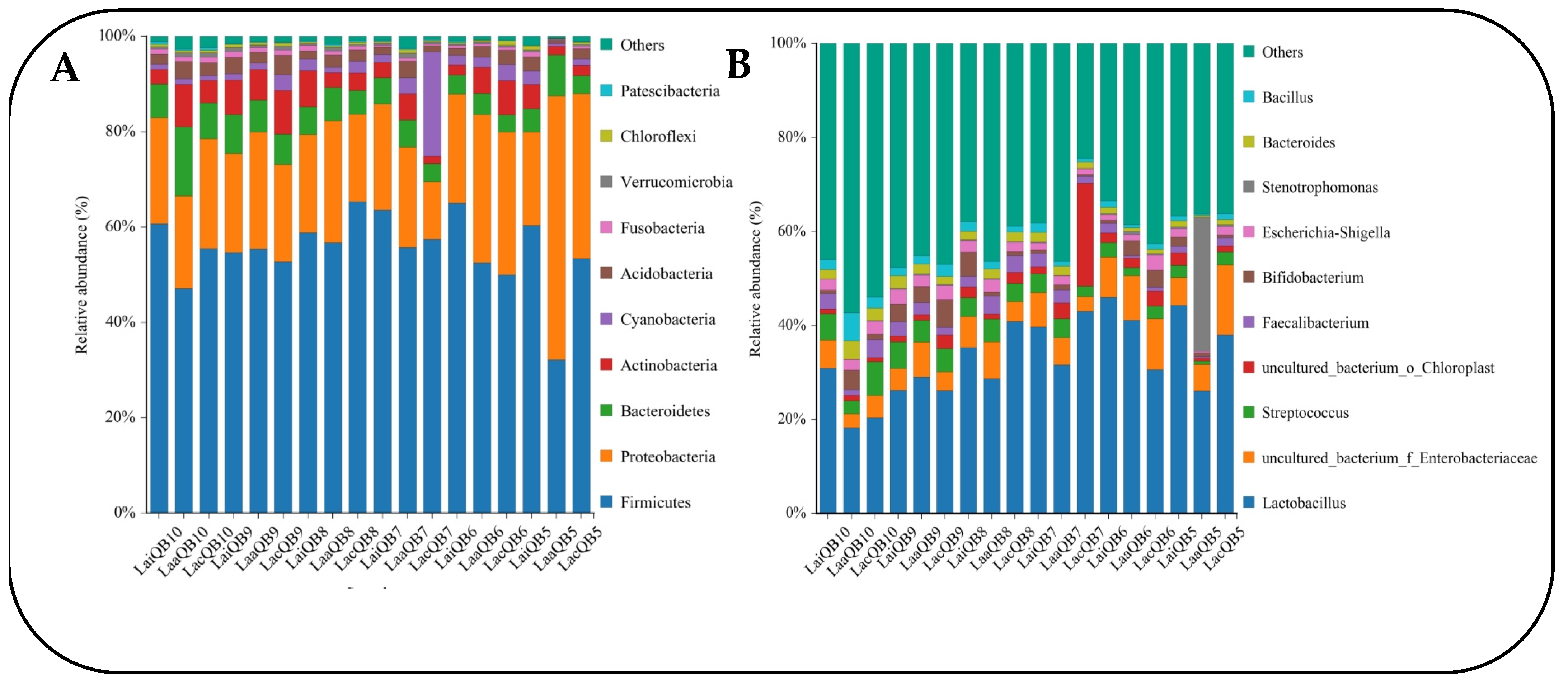 Microorganisms 13 00078 g006