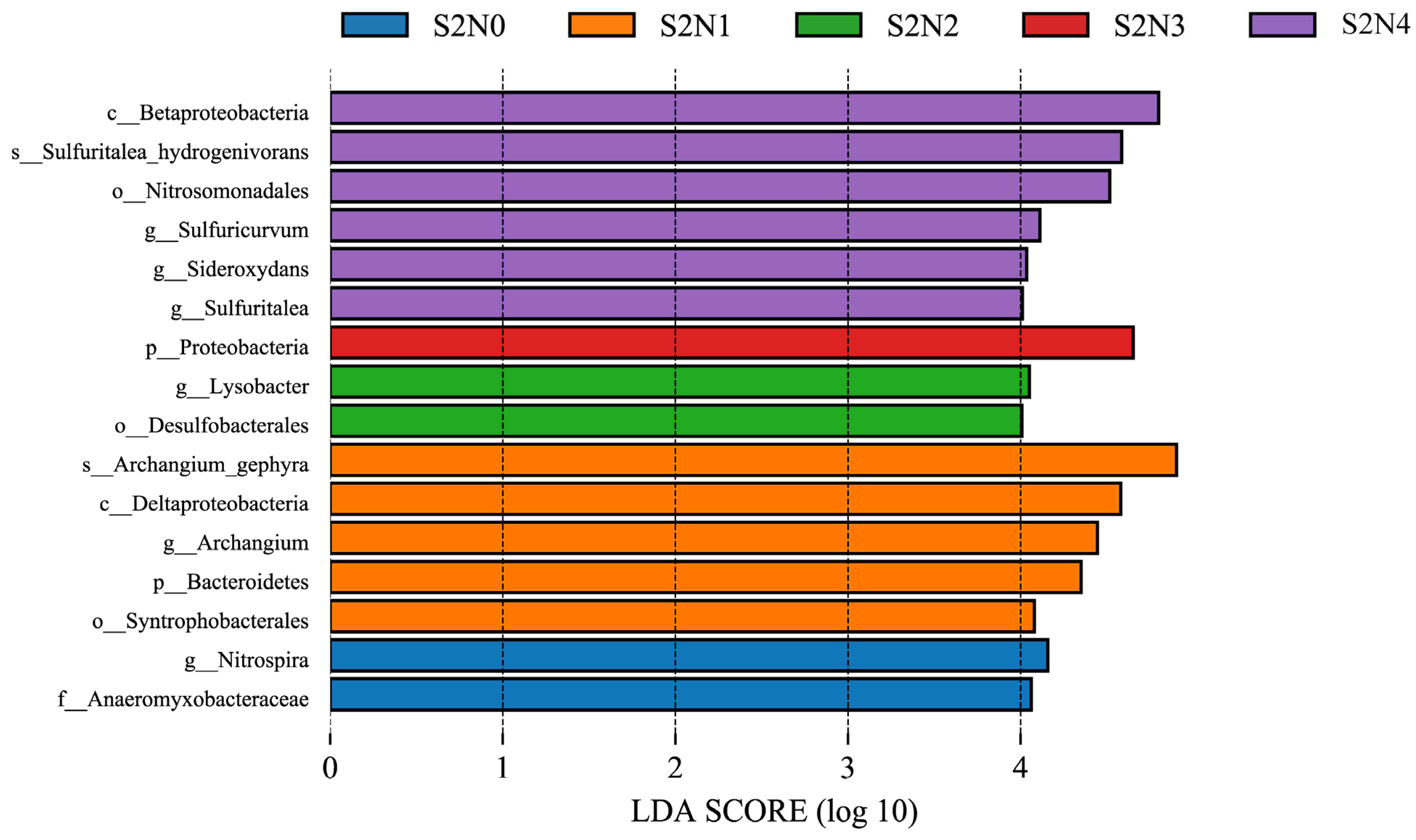 Microorganisms 13 00079 g007
