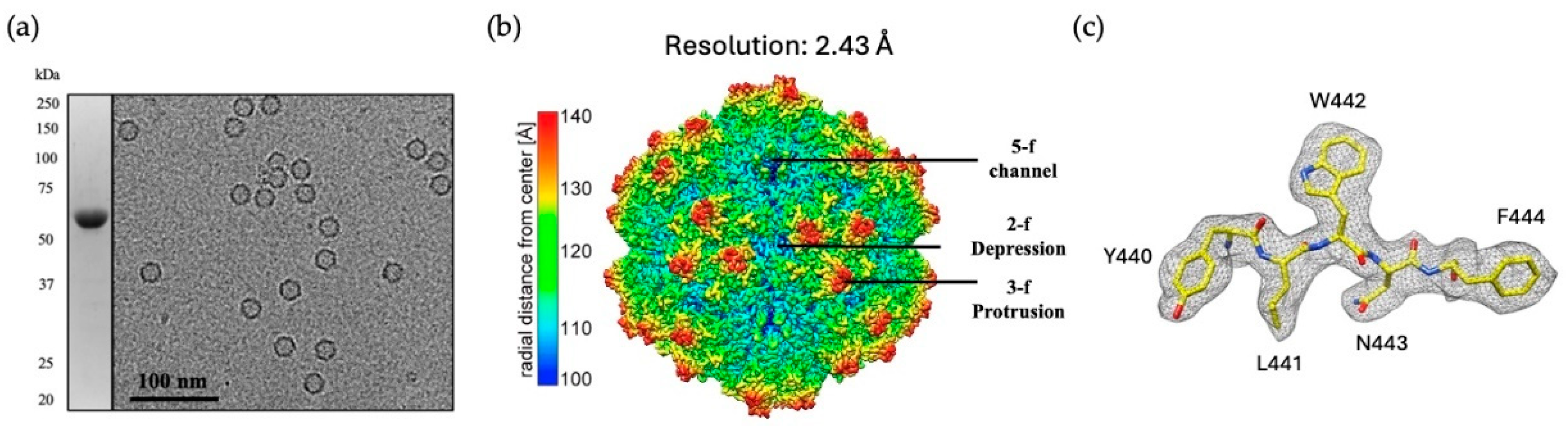 Microorganisms 13 00080 g001 Microorganisms 13 00080 g001