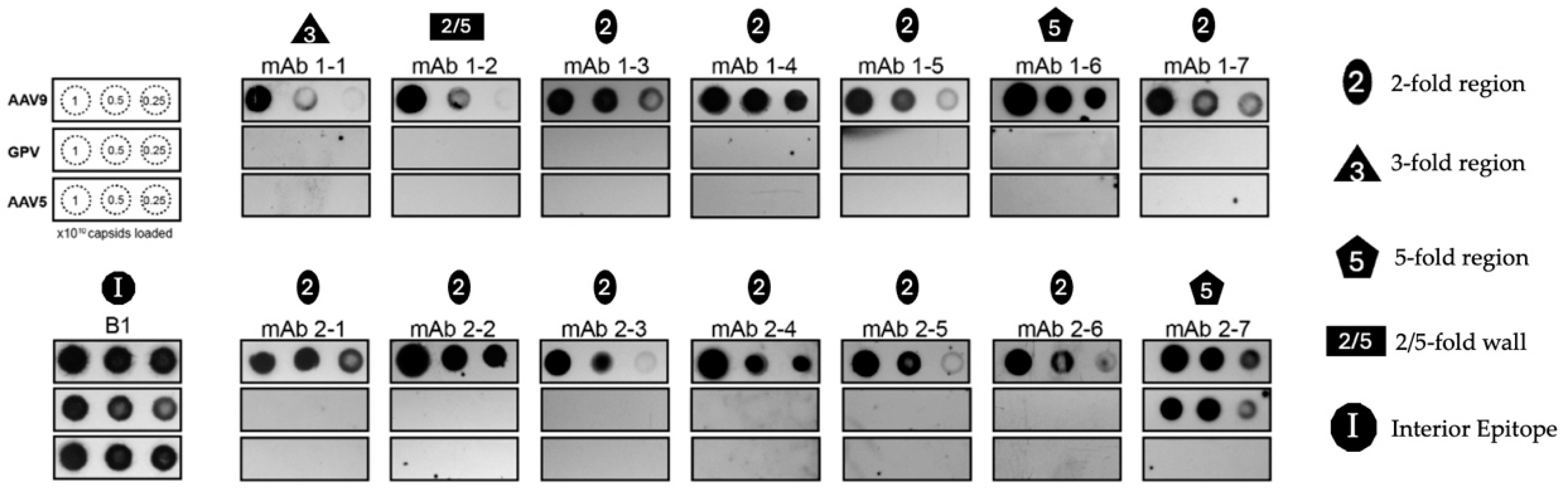 Microorganisms 13 00080 g004 Microorganisms 13 00080 g004