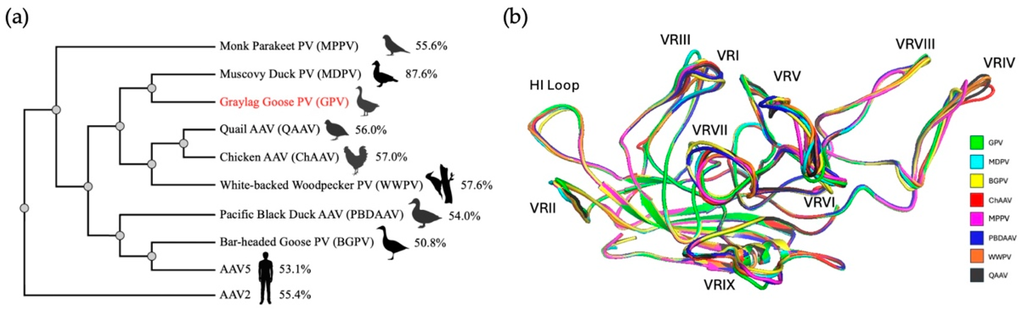 Microorganisms 13 00080 g006 Microorganisms 13 00080 g006