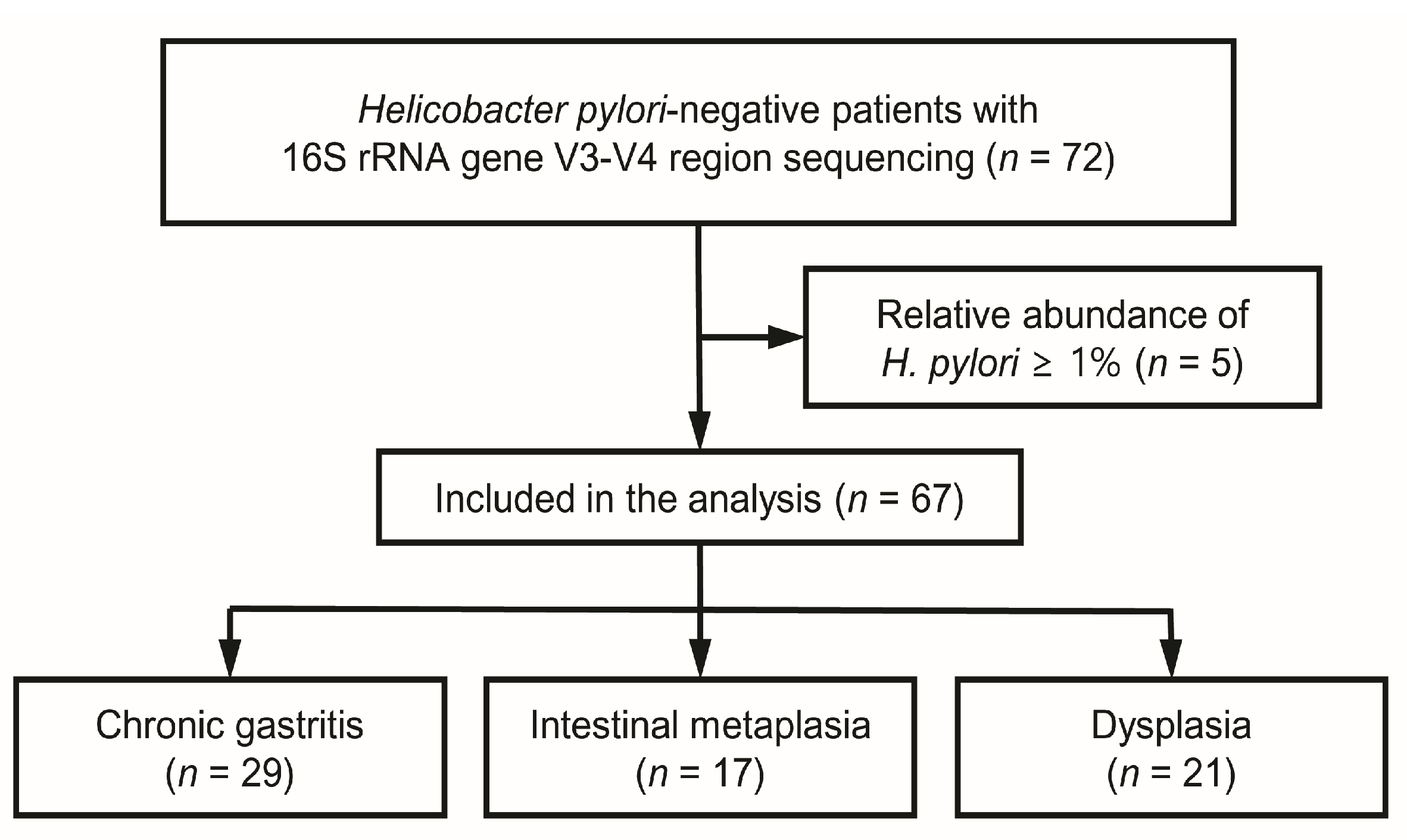 Microorganisms 13 00081 g001