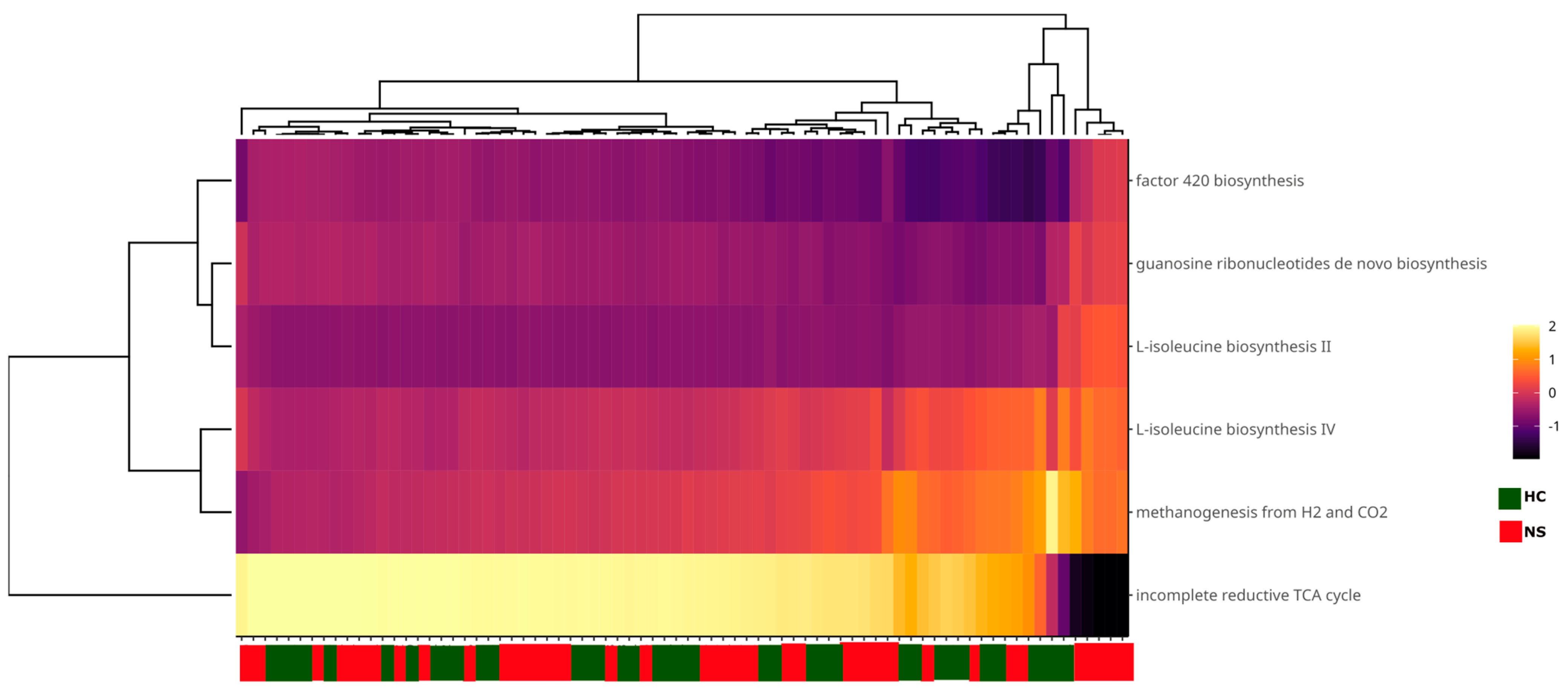 Microorganisms 13 00085 g006