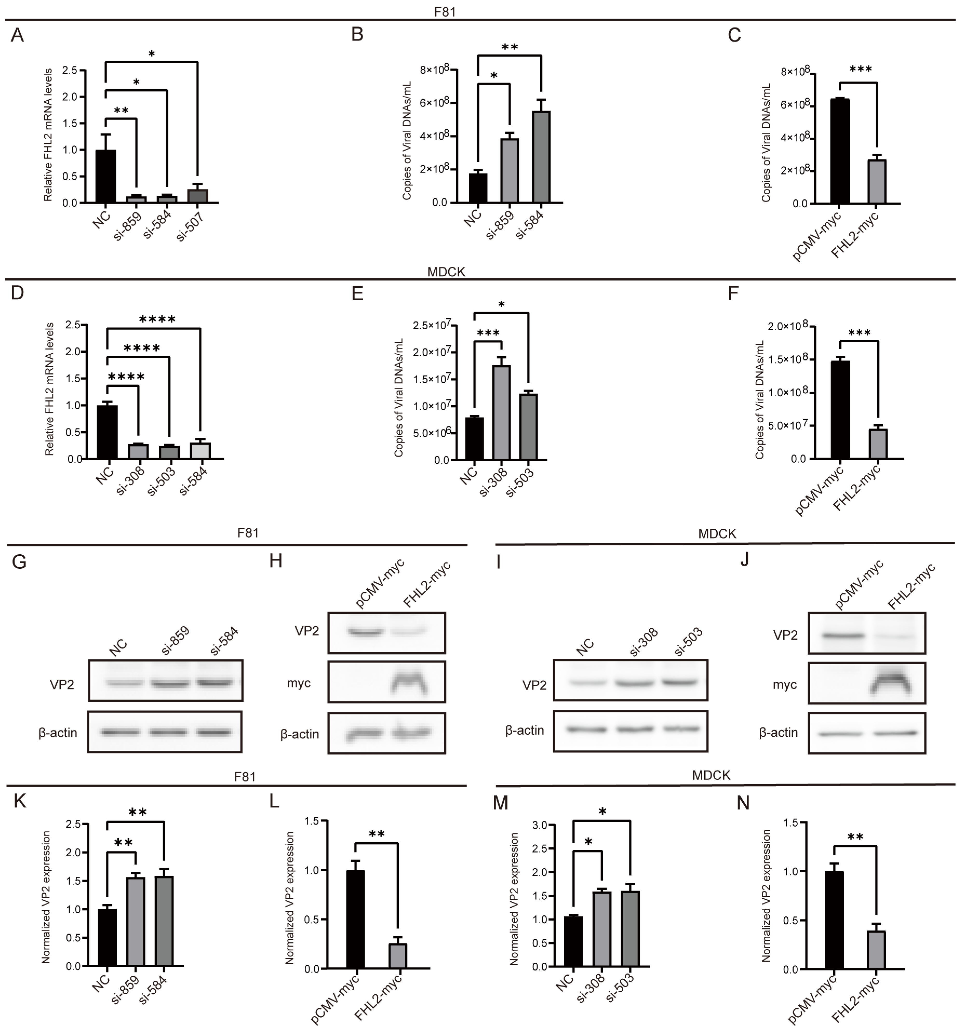 Microorganisms 13 00088 g006