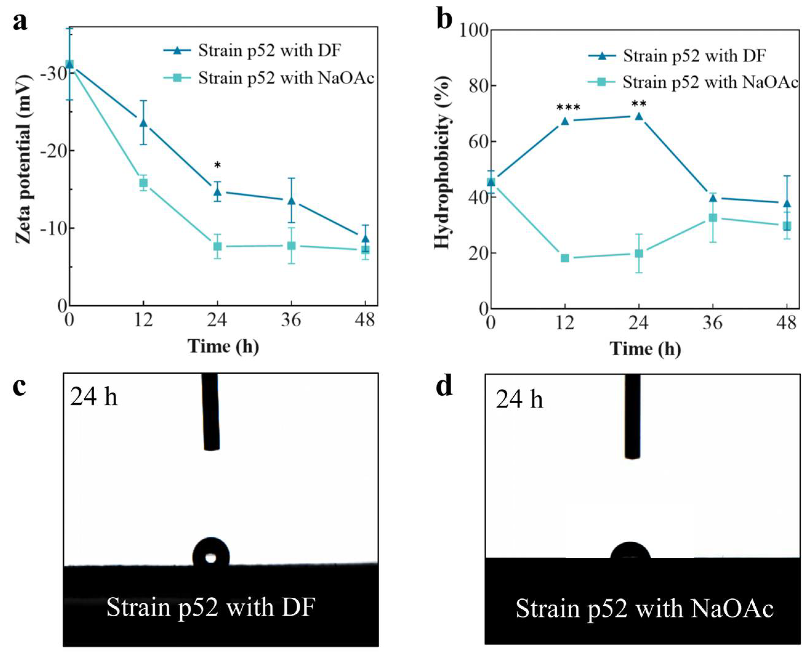 Microorganisms 13 00093 g003