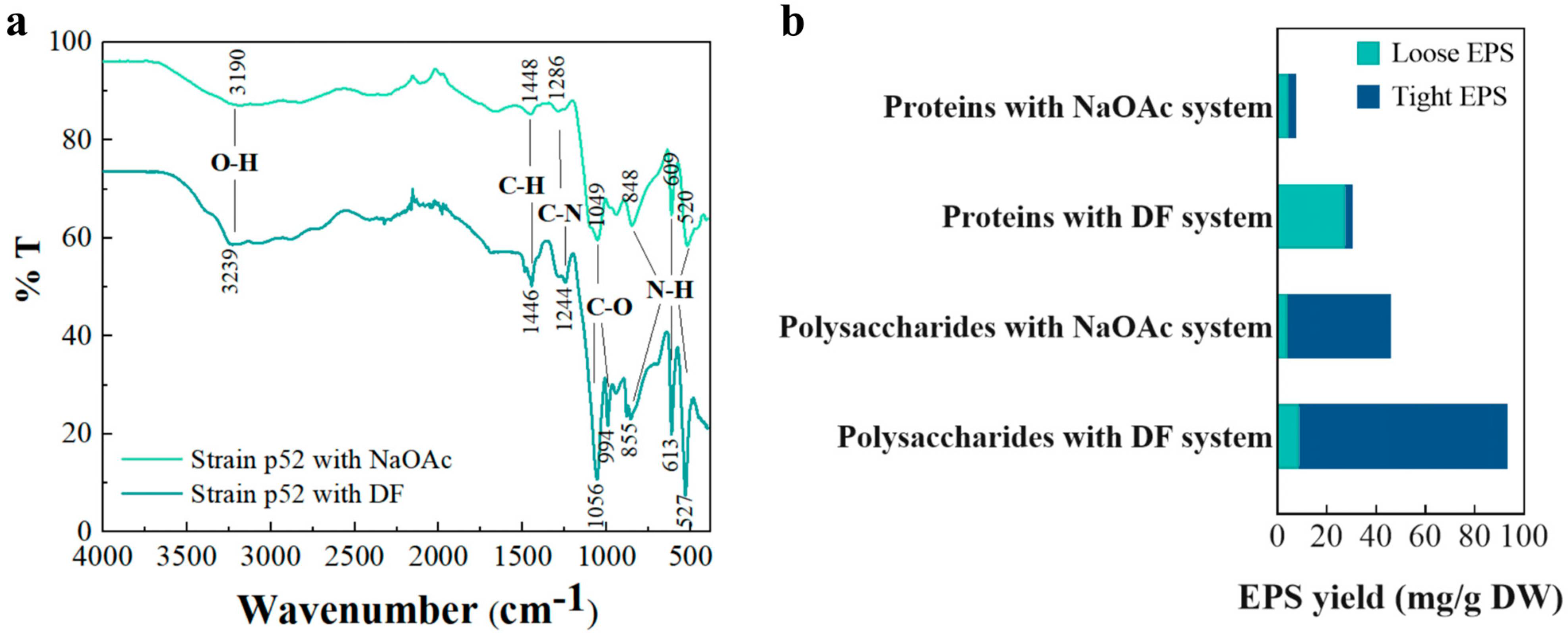 Microorganisms 13 00093 g004