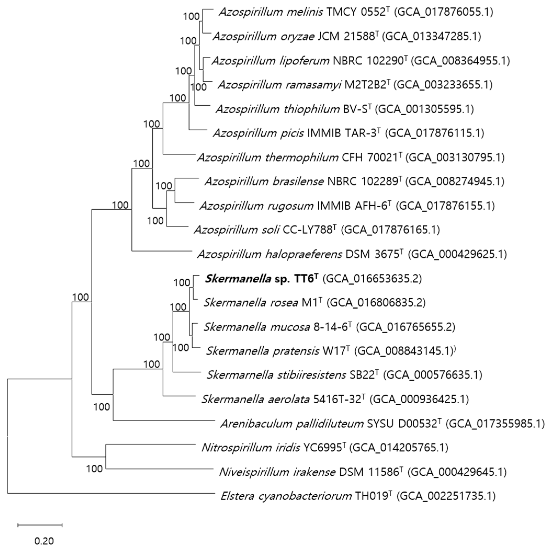 Microorganisms 13 00094 g001