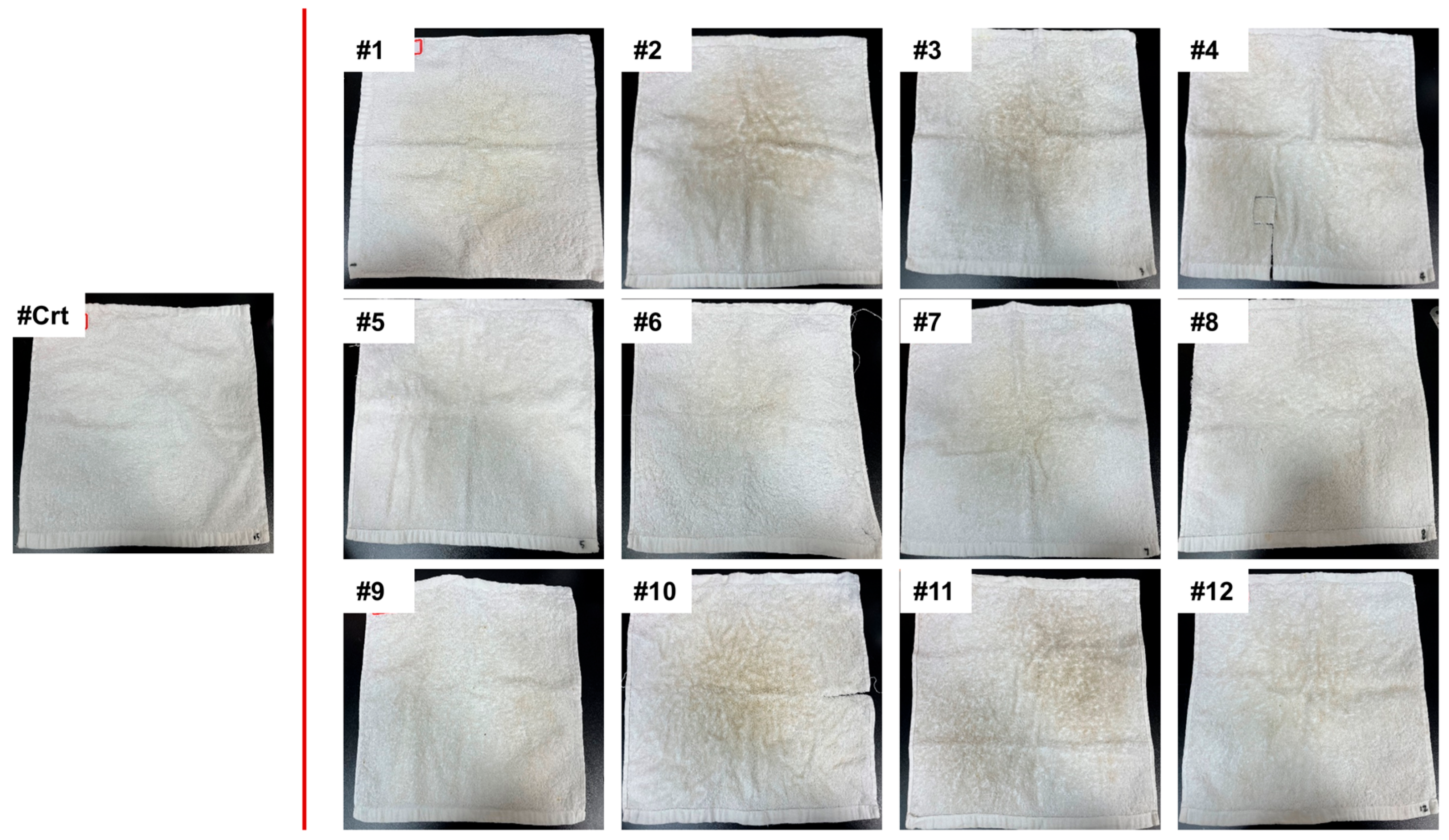Microorganisms 13 00097 g002