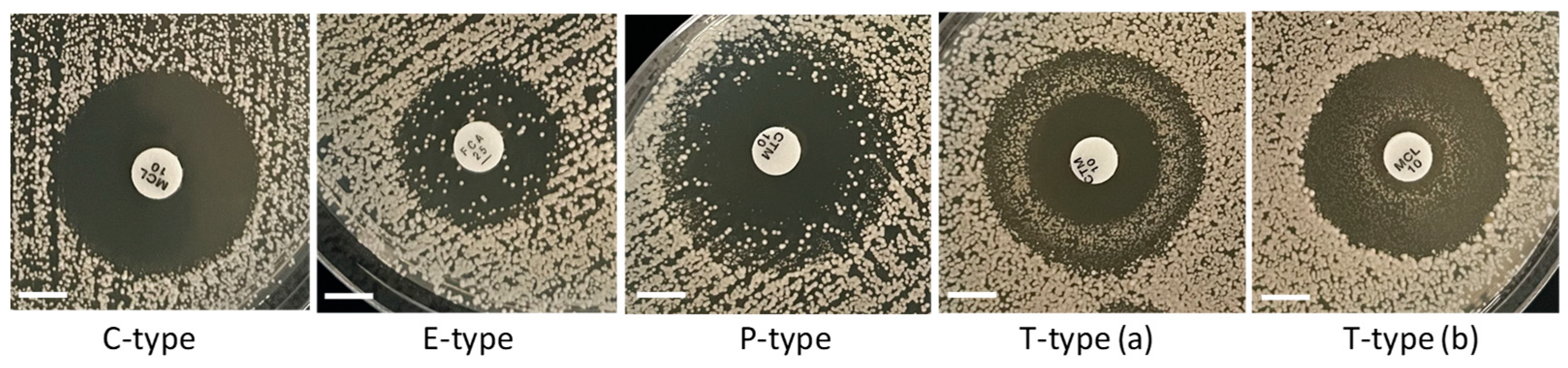 Microorganisms 13 00099 g006