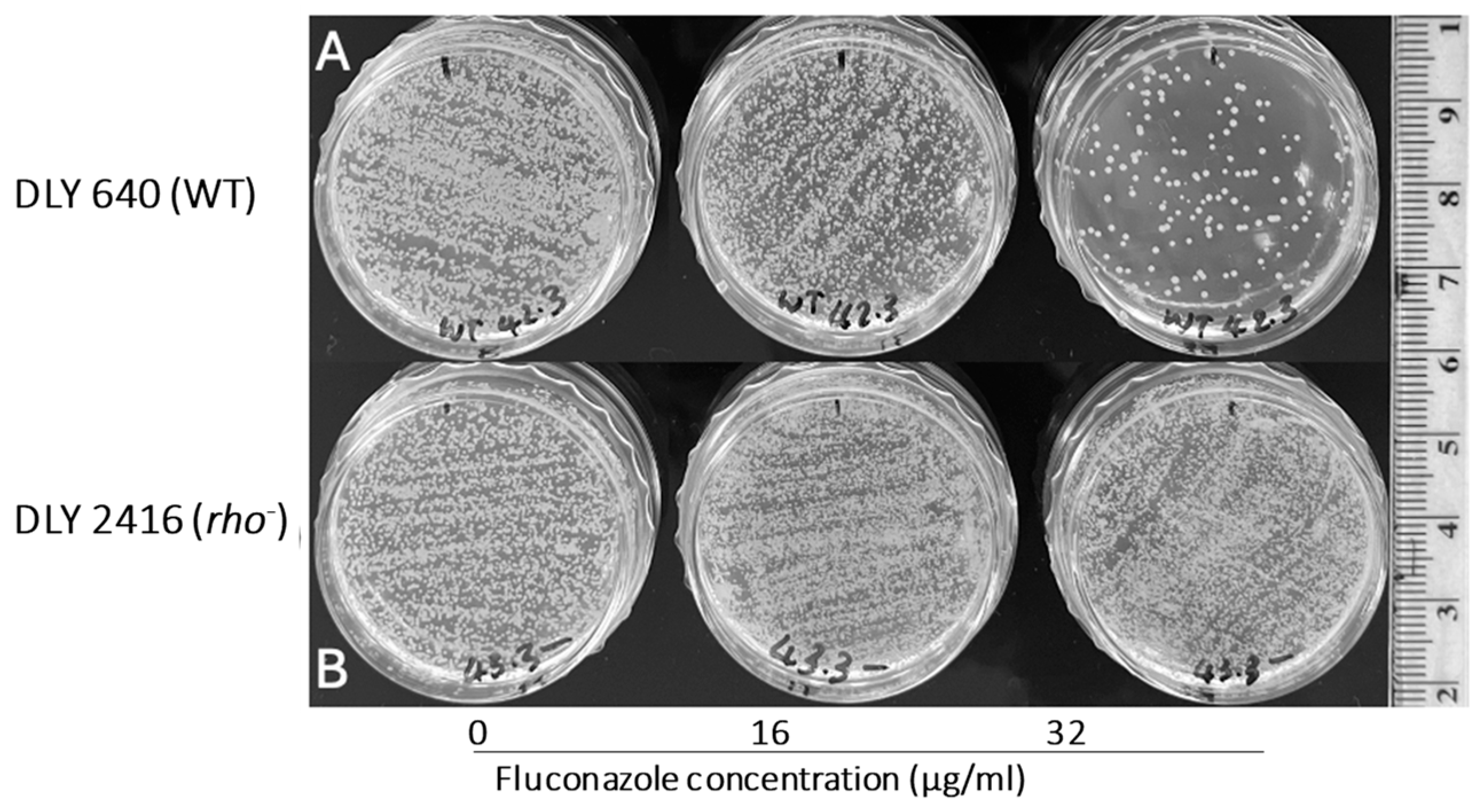Microorganisms 13 00099 g007