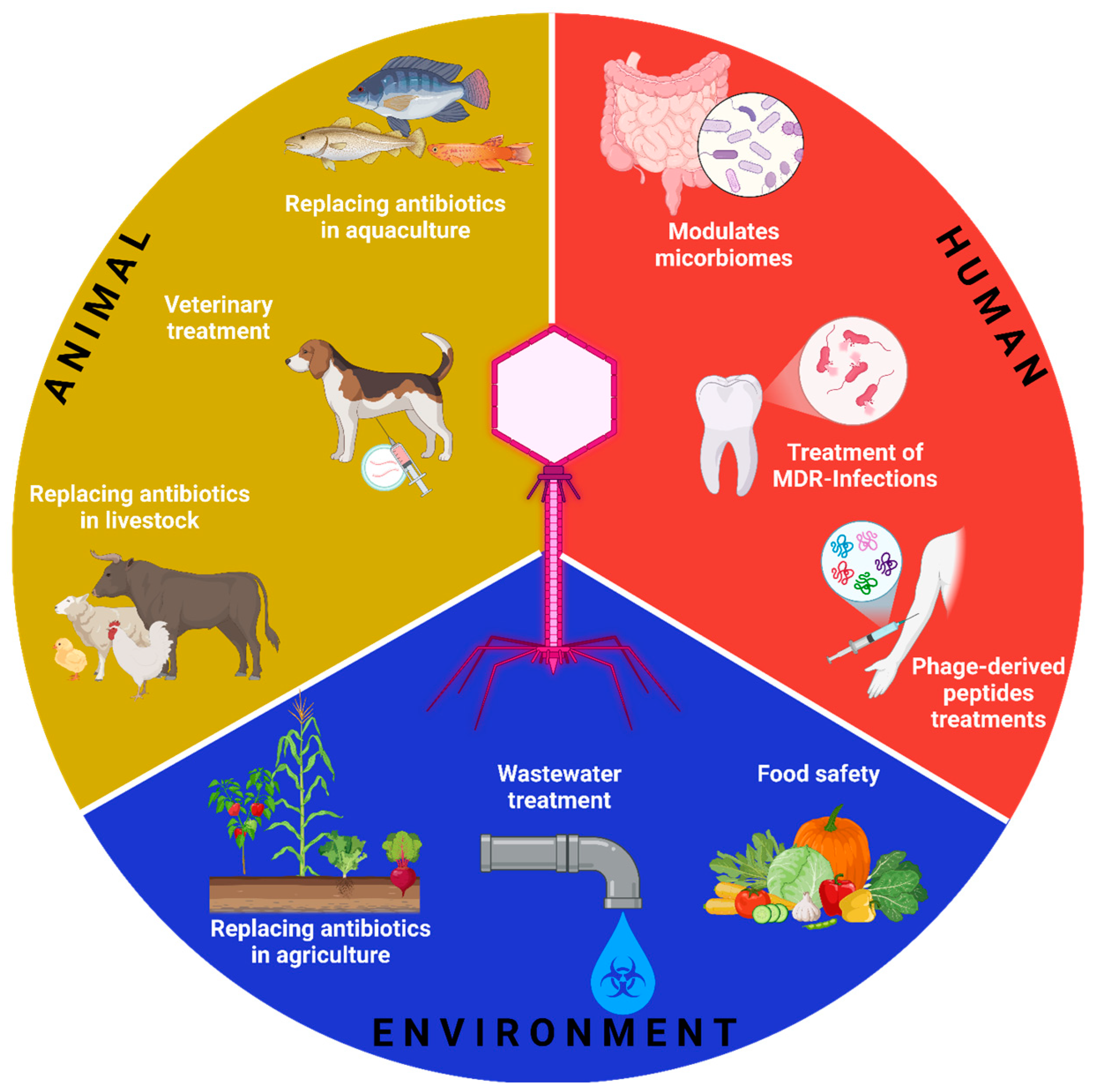 Microorganisms 13 00100 g001
