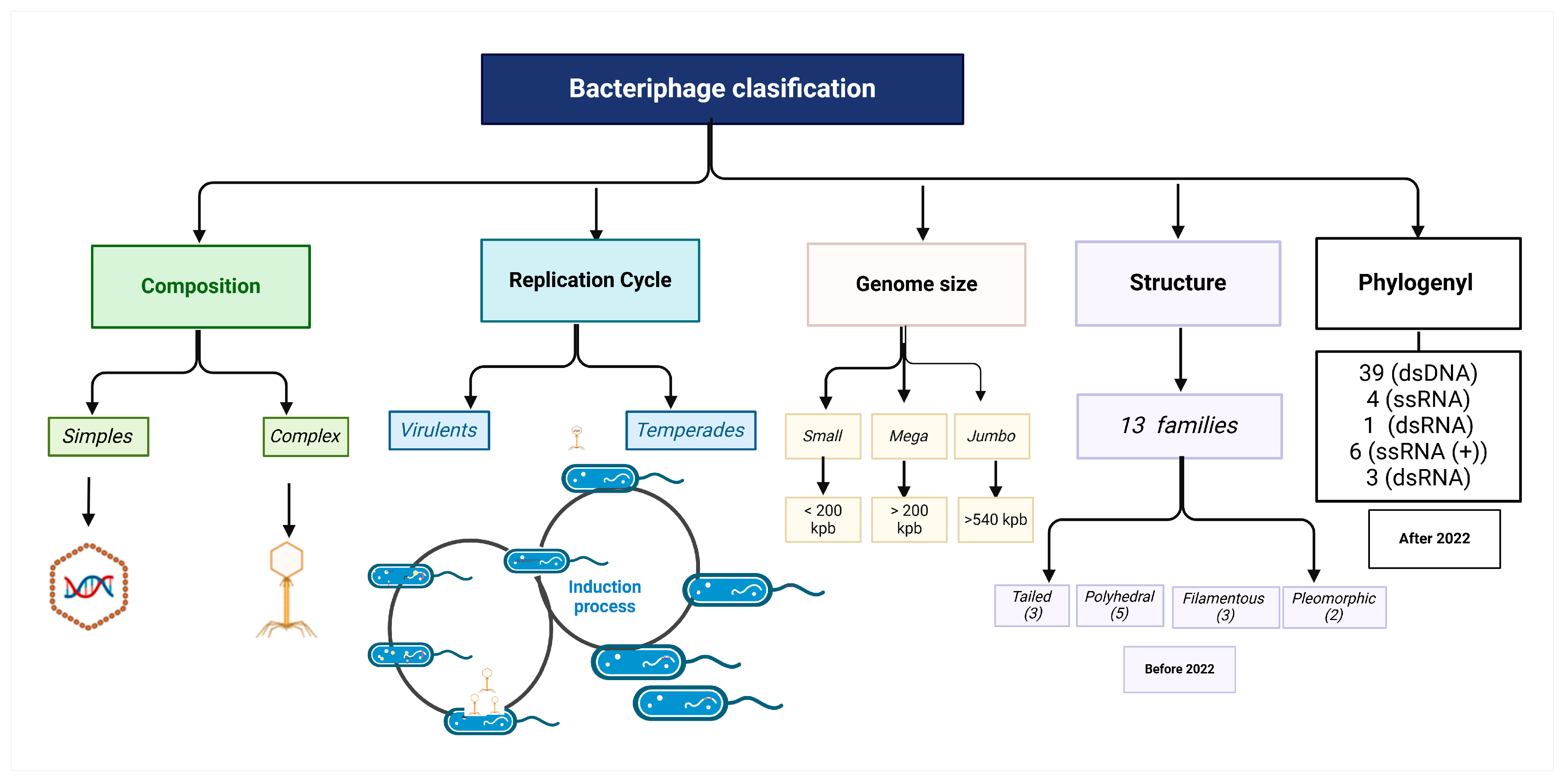 Microorganisms 13 00100 g002