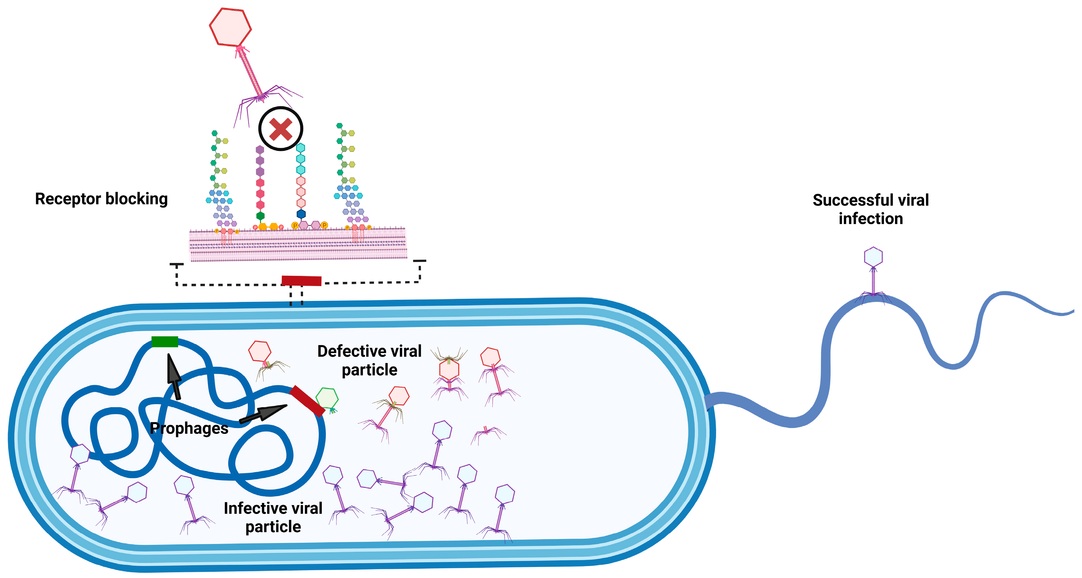 Microorganisms 13 00100 g003