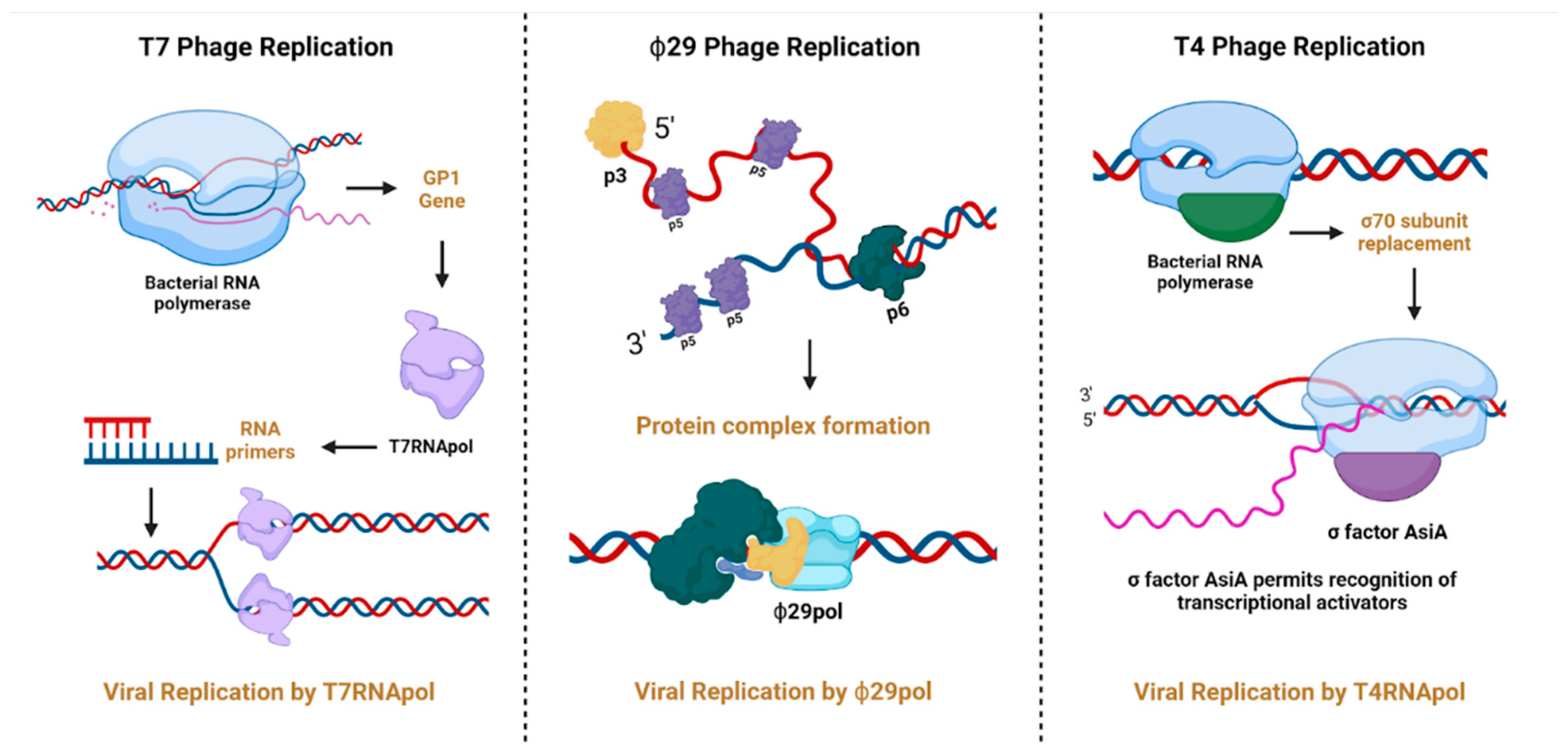 Microorganisms 13 00100 g005
