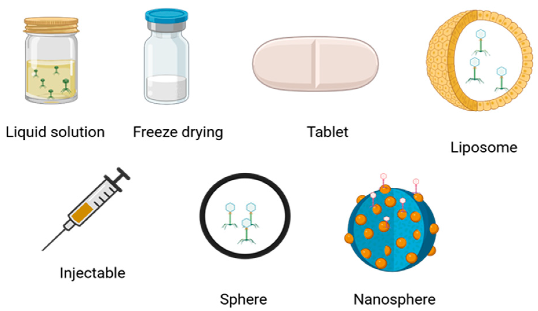 Microorganisms 13 00100 g006