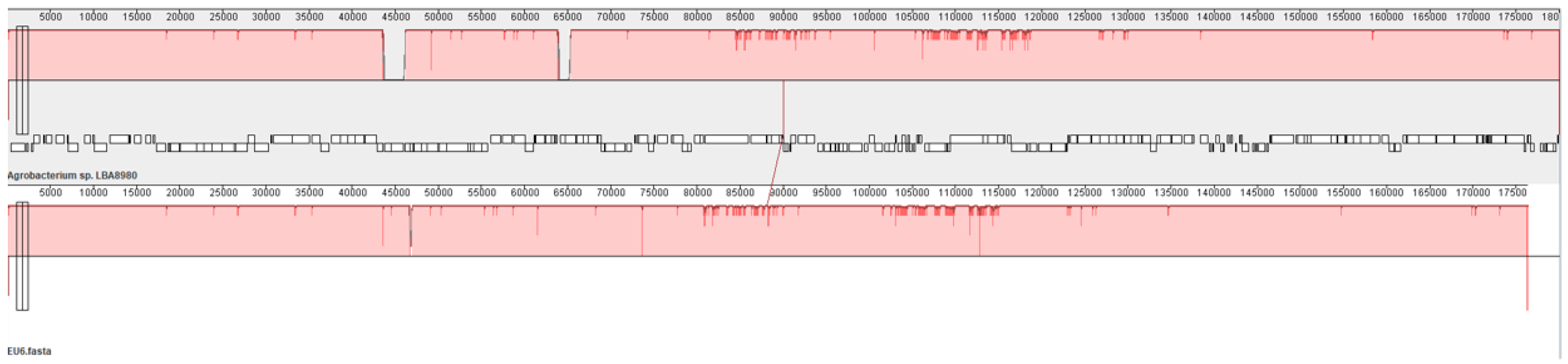 Microorganisms 13 00102 g002