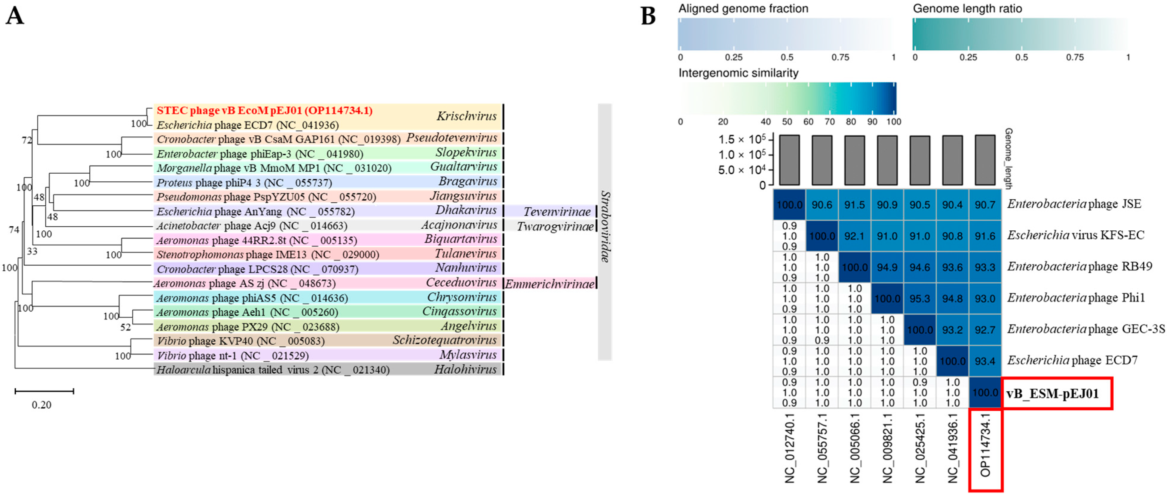 Microorganisms 13 00103 g005