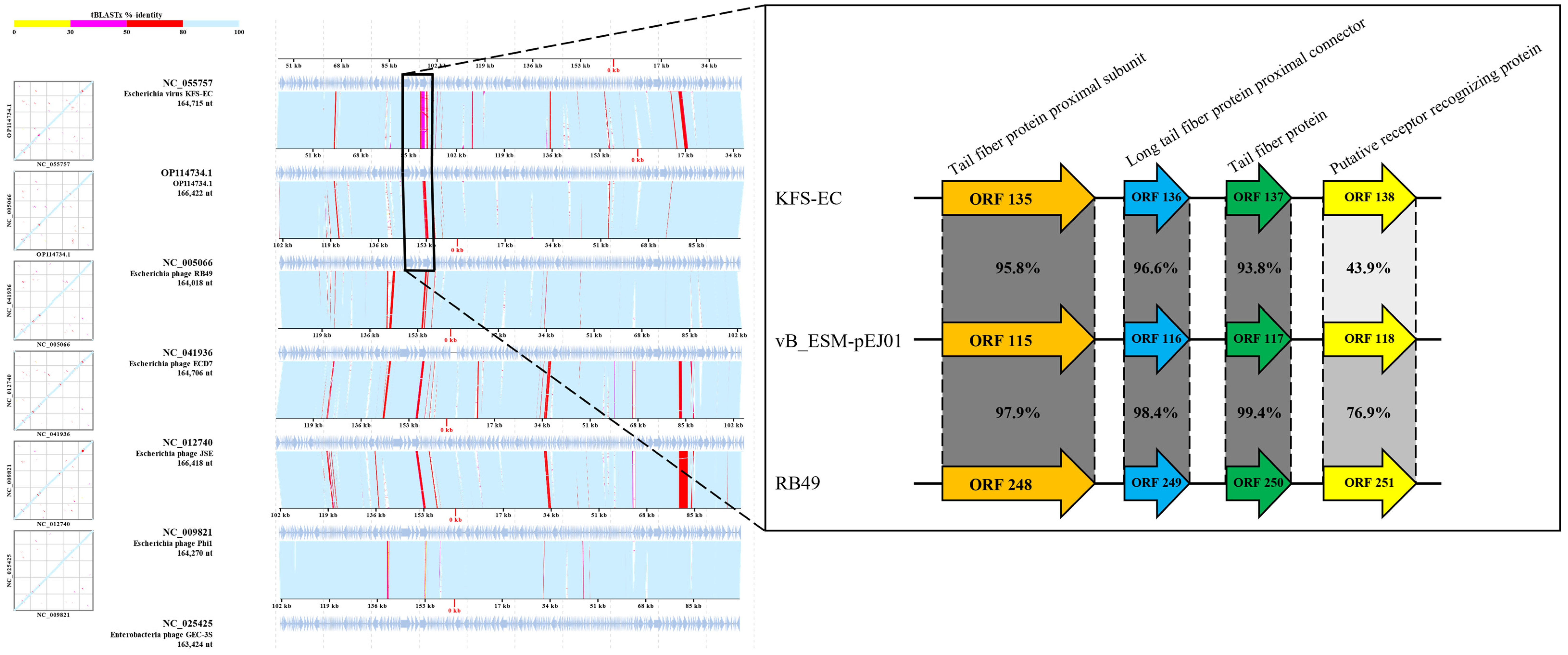 Microorganisms 13 00103 g006