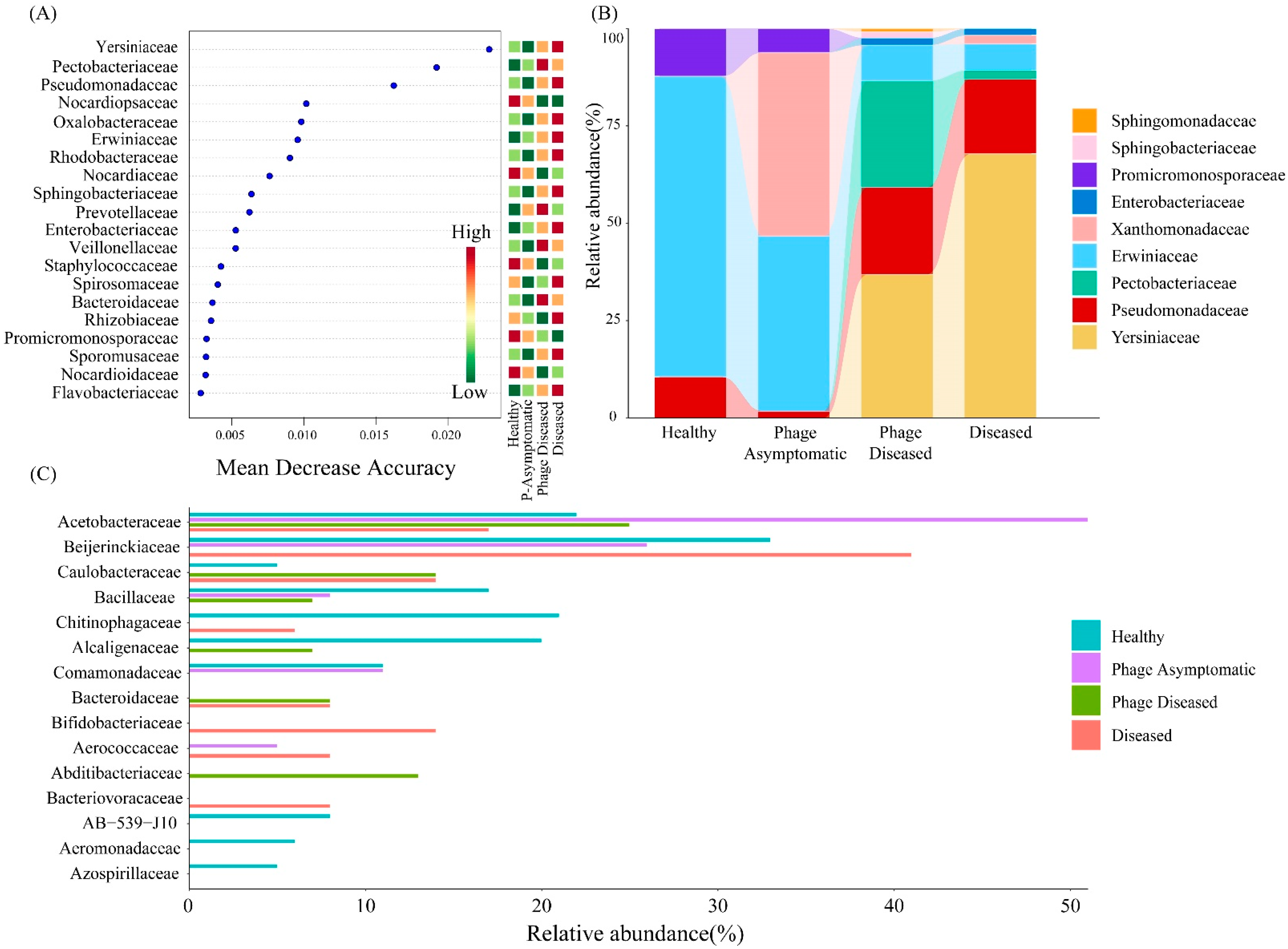 Microorganisms 13 00104 g005 Microorganisms 13 00104 g005