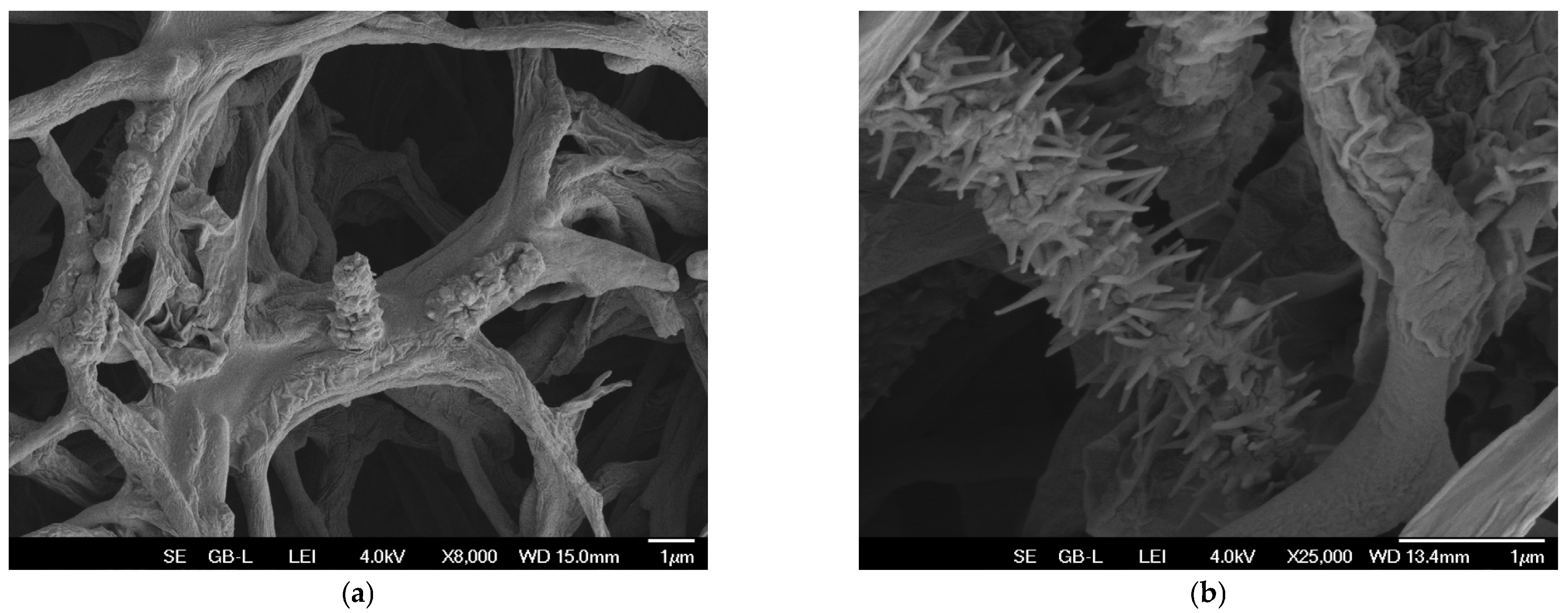 Microorganisms 13 00107 g001