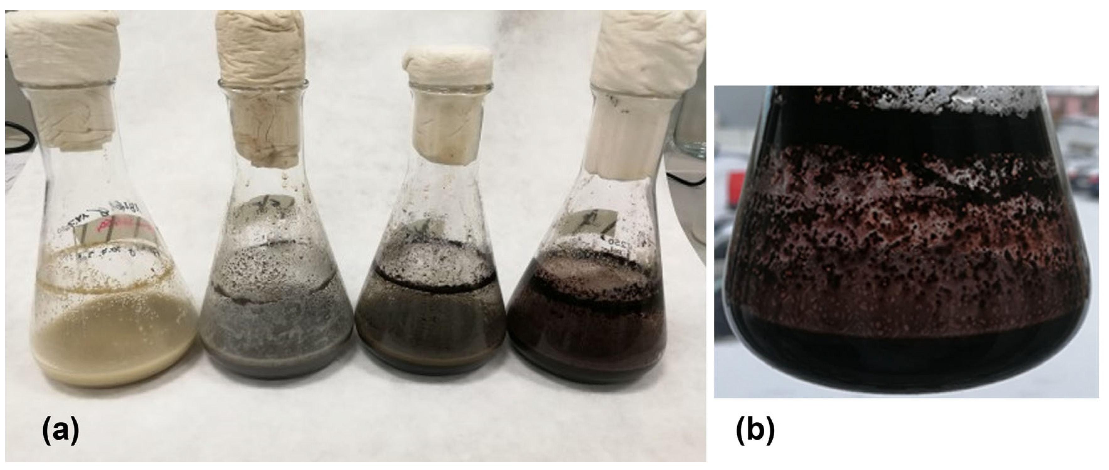 Microorganisms 13 00107 g005